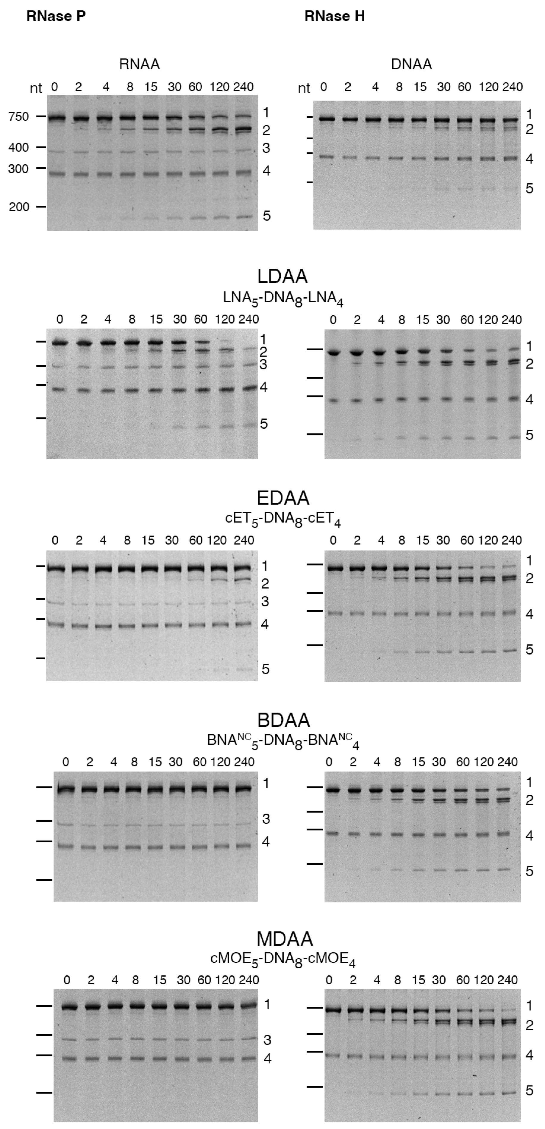 Molecules 30 04721 g003 Molecules 30 04721 g003