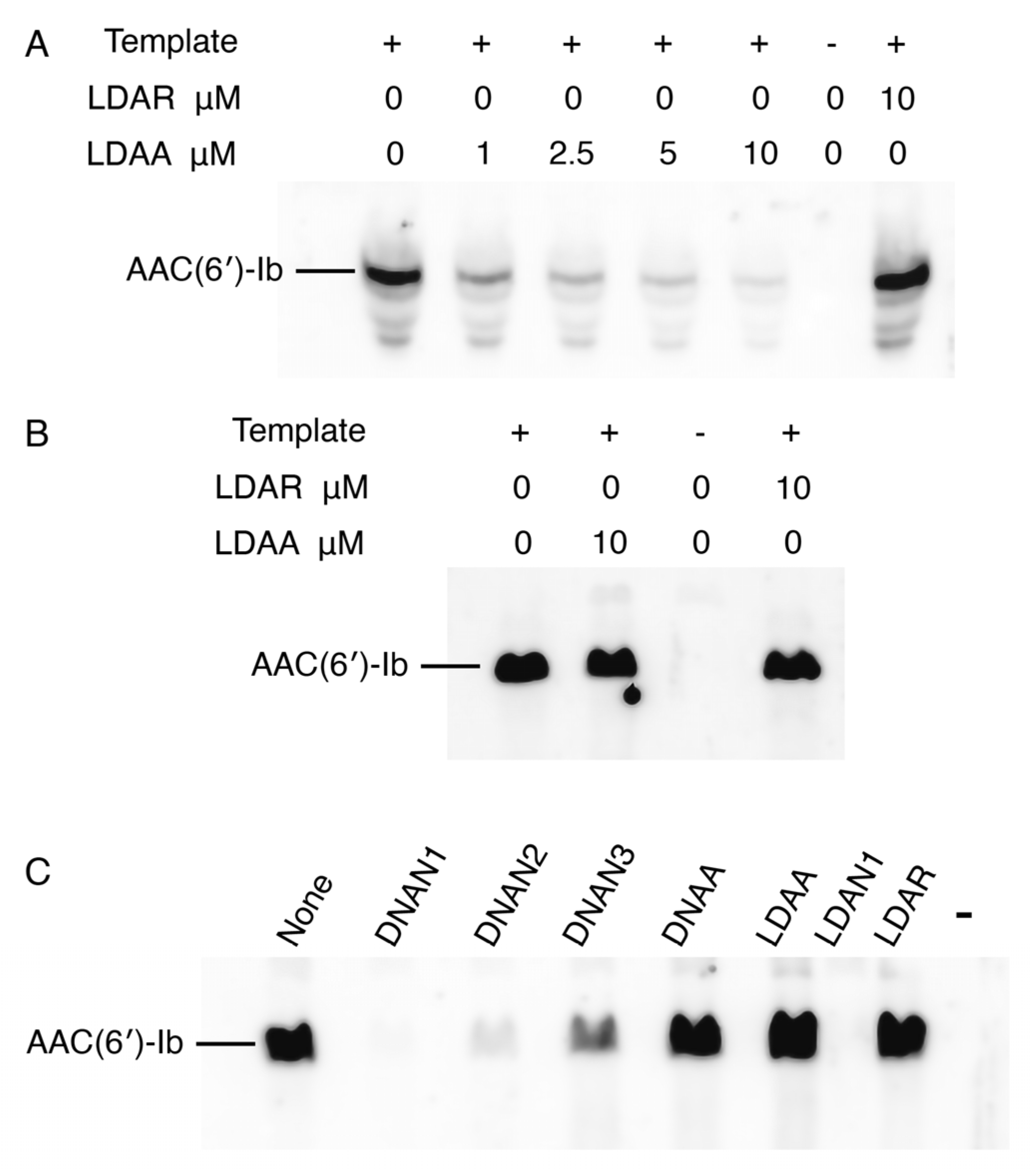 Molecules 30 04721 g004 Molecules 30 04721 g004