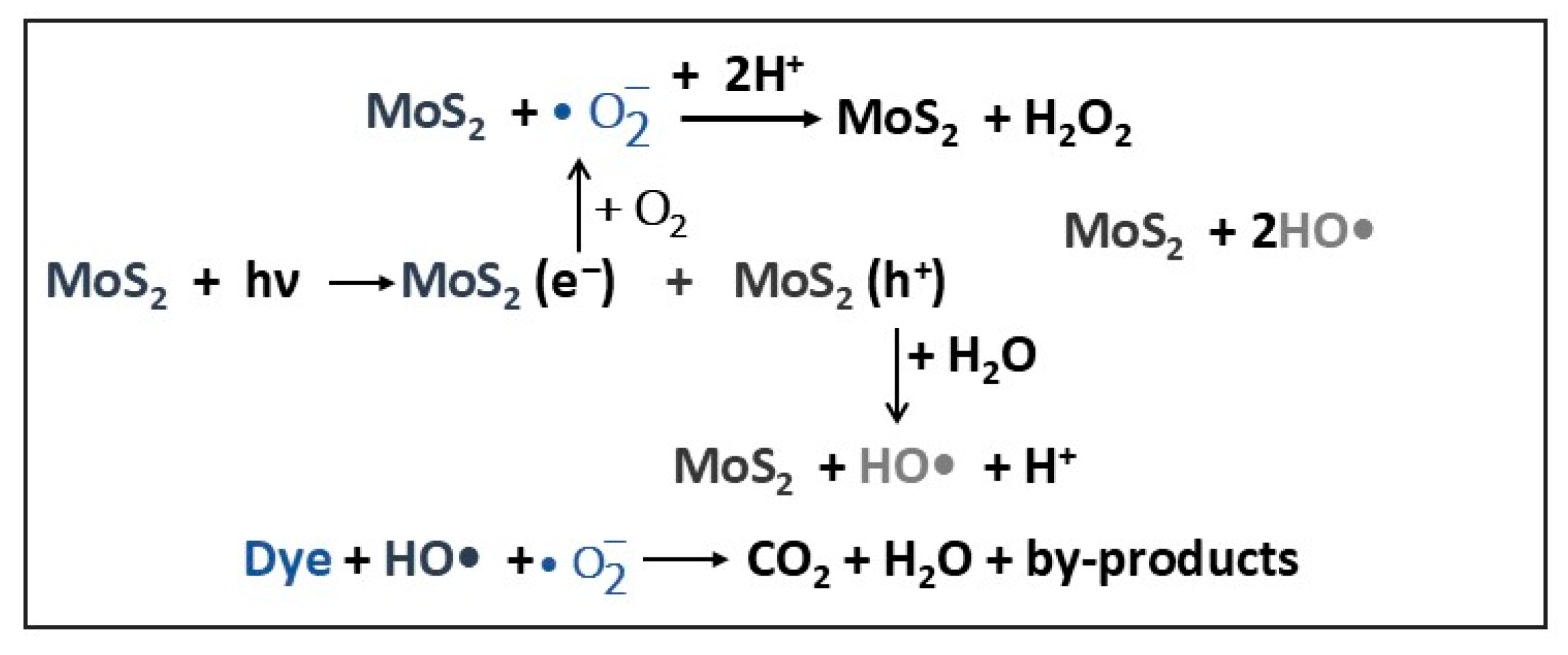 Molecules 30 04727 g002 Molecules 30 04727 g002