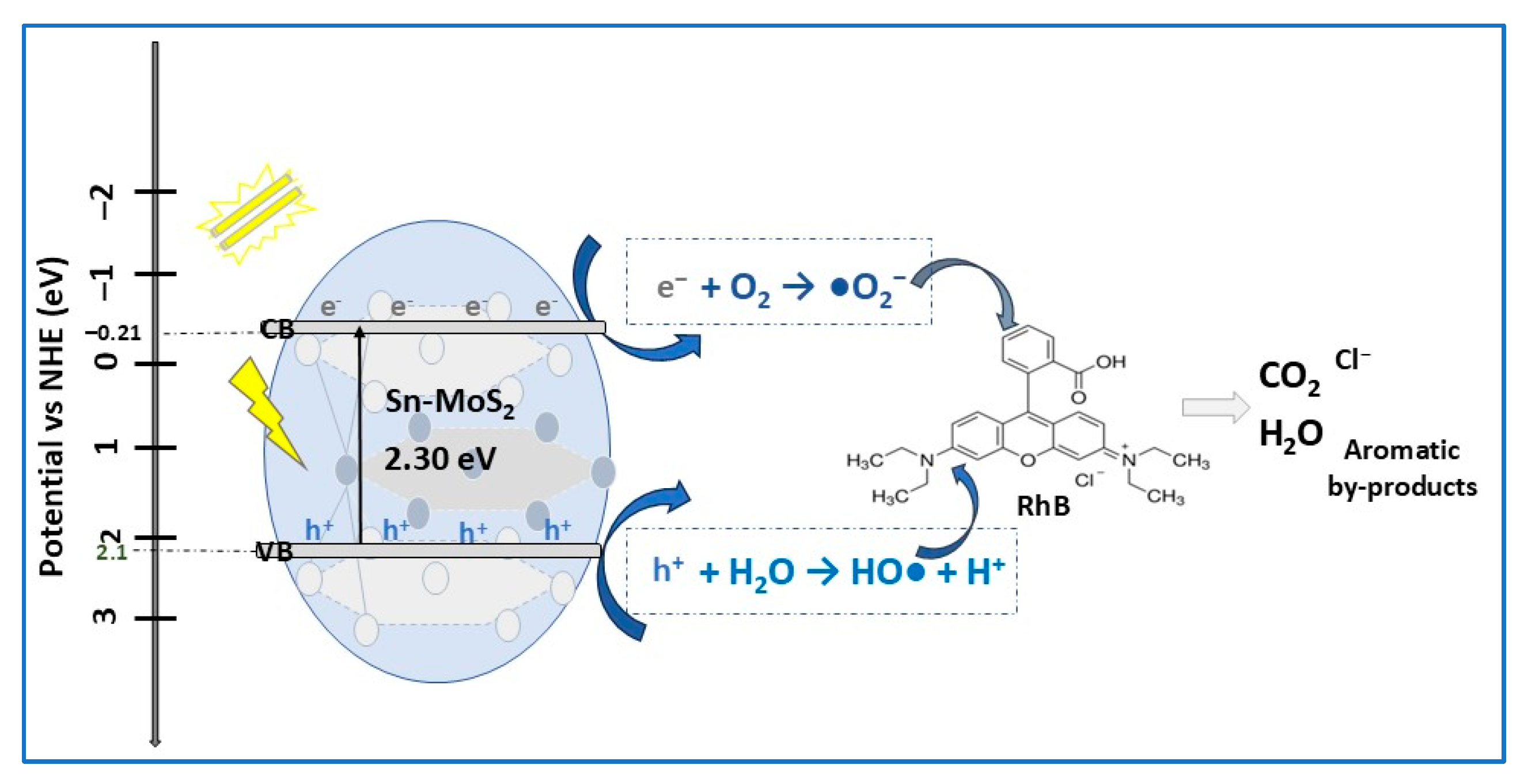 Molecules 30 04727 g003 Molecules 30 04727 g003