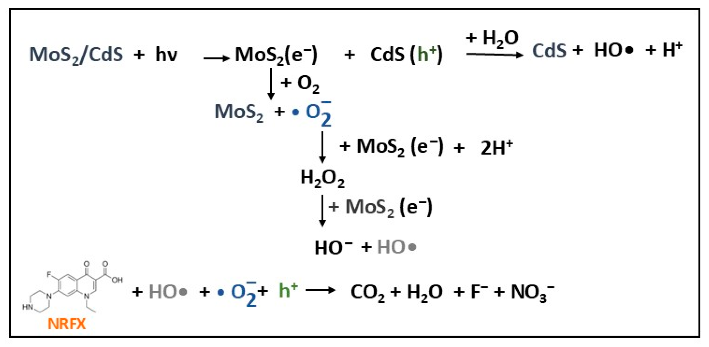 Molecules 30 04727 g008 Molecules 30 04727 g008