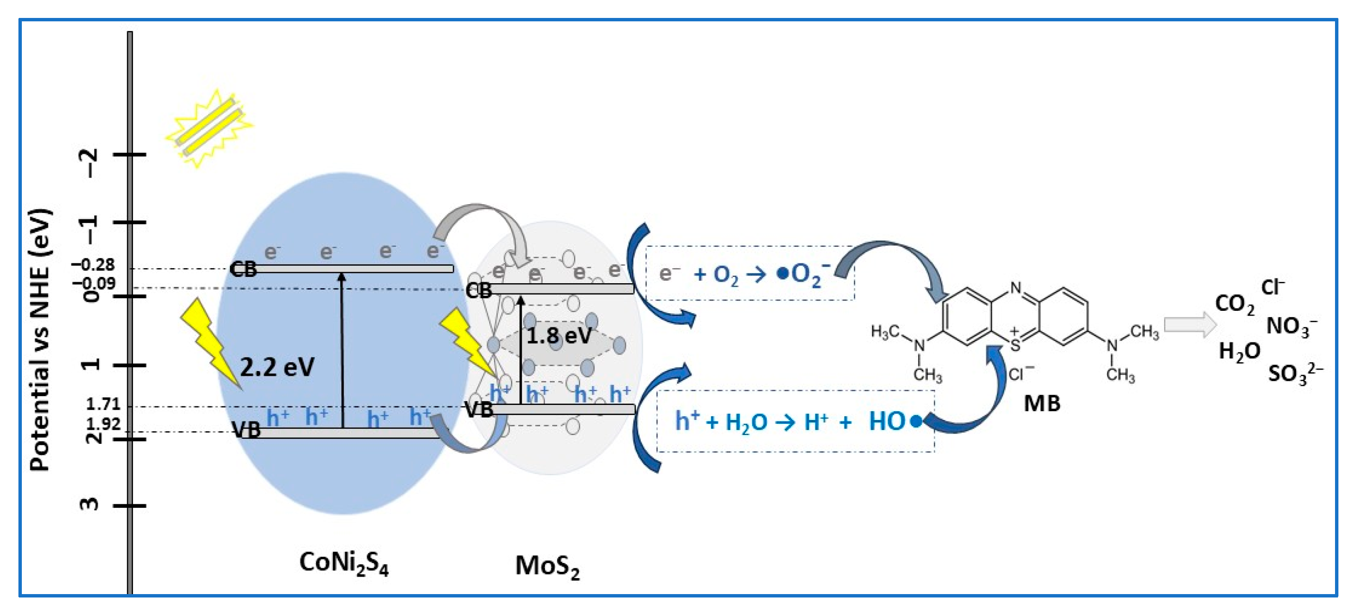 Molecules 30 04727 g009 Molecules 30 04727 g009