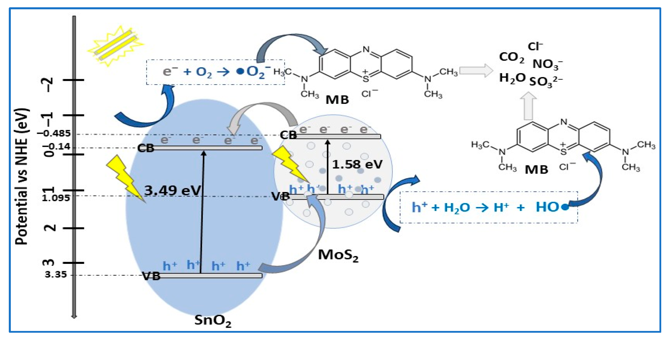 Molecules 30 04727 g010 Molecules 30 04727 g010