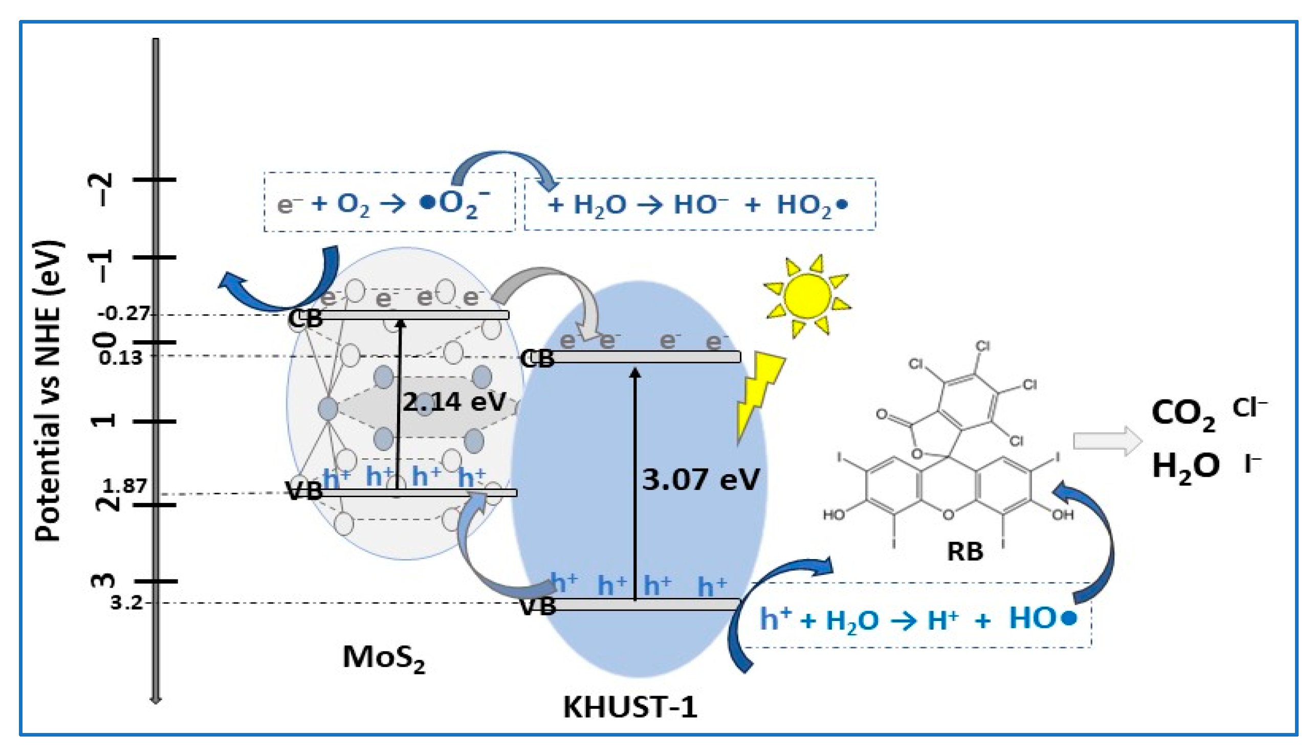 Molecules 30 04727 g011 Molecules 30 04727 g011