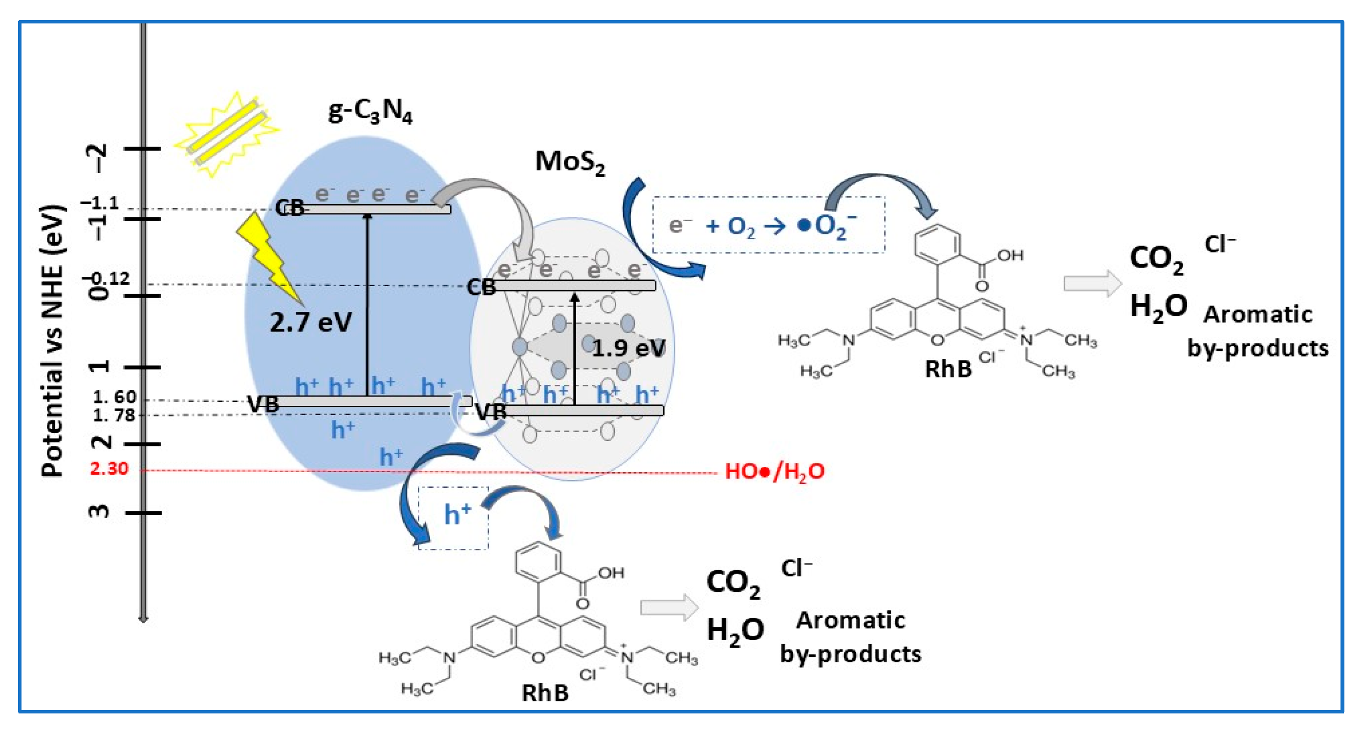 Molecules 30 04727 g012 Molecules 30 04727 g012