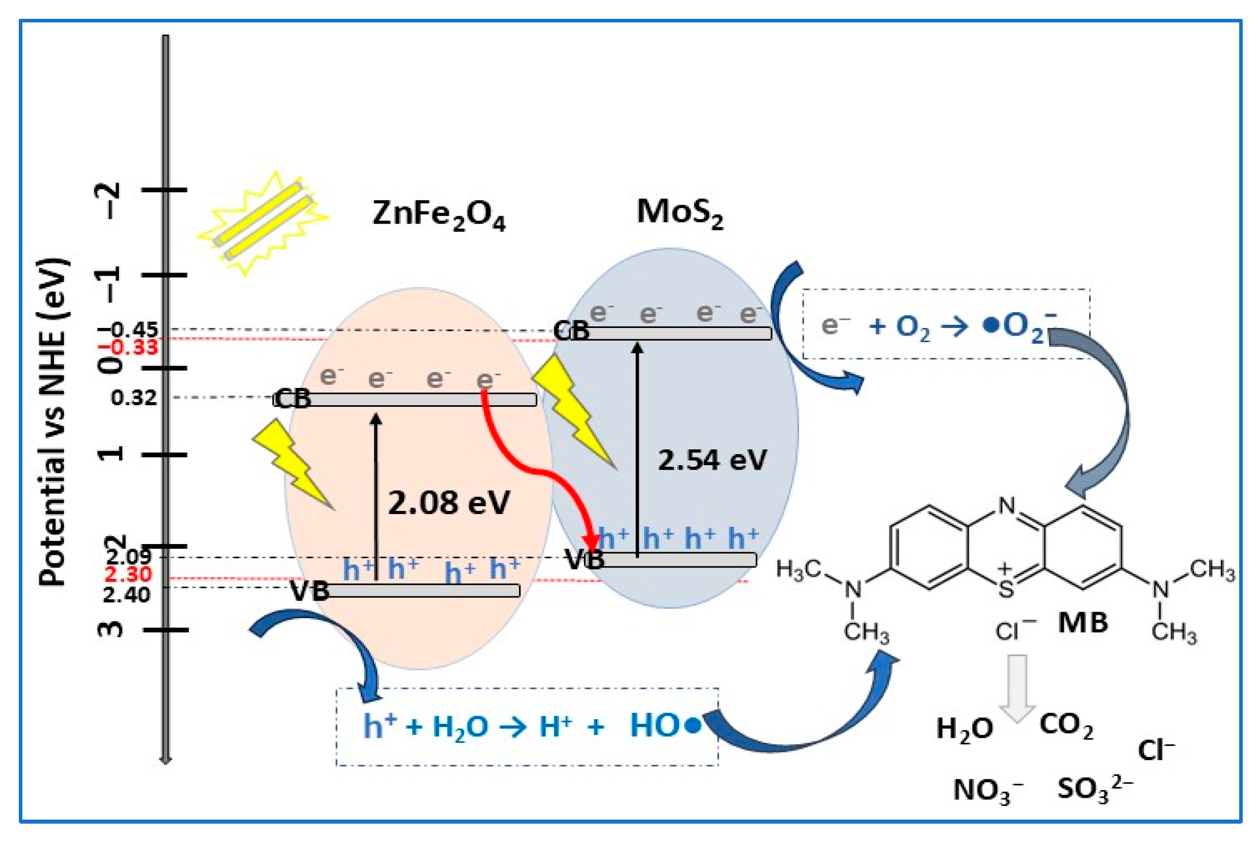 Molecules 30 04727 g013 Molecules 30 04727 g013