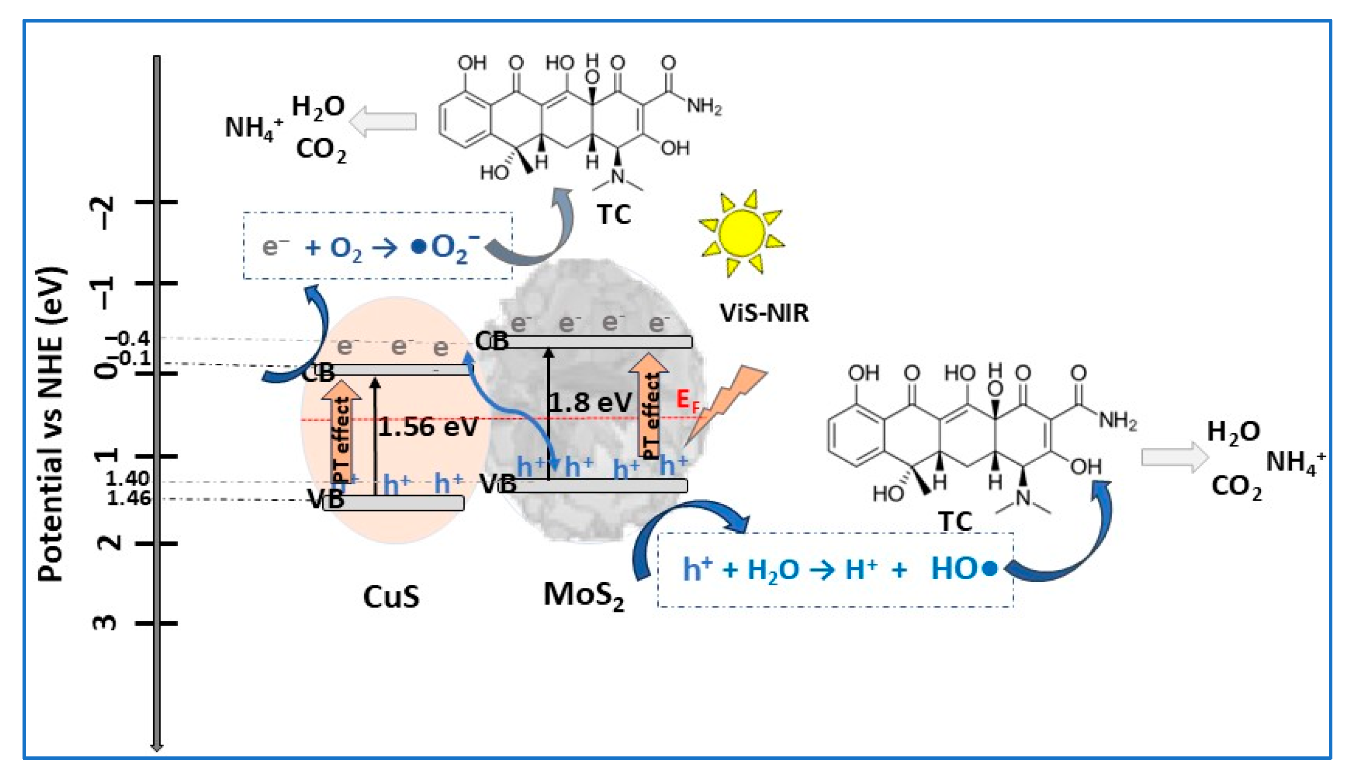 Molecules 30 04727 g014 Molecules 30 04727 g014