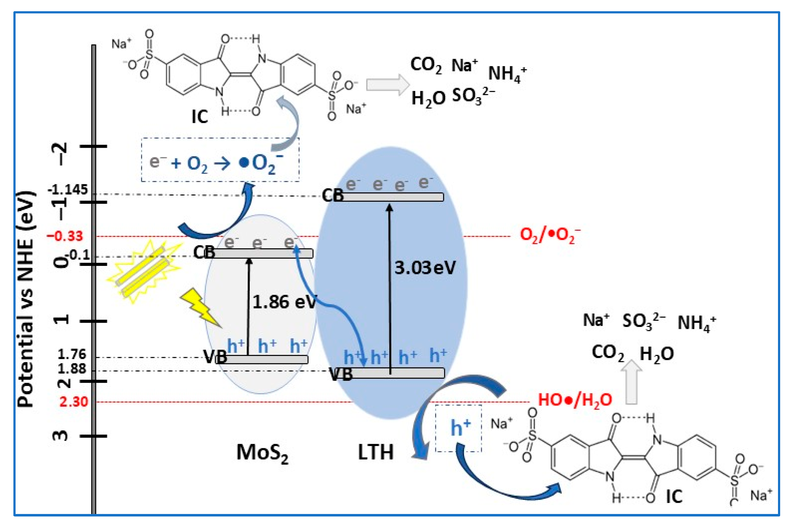 Molecules 30 04727 g015 Molecules 30 04727 g015
