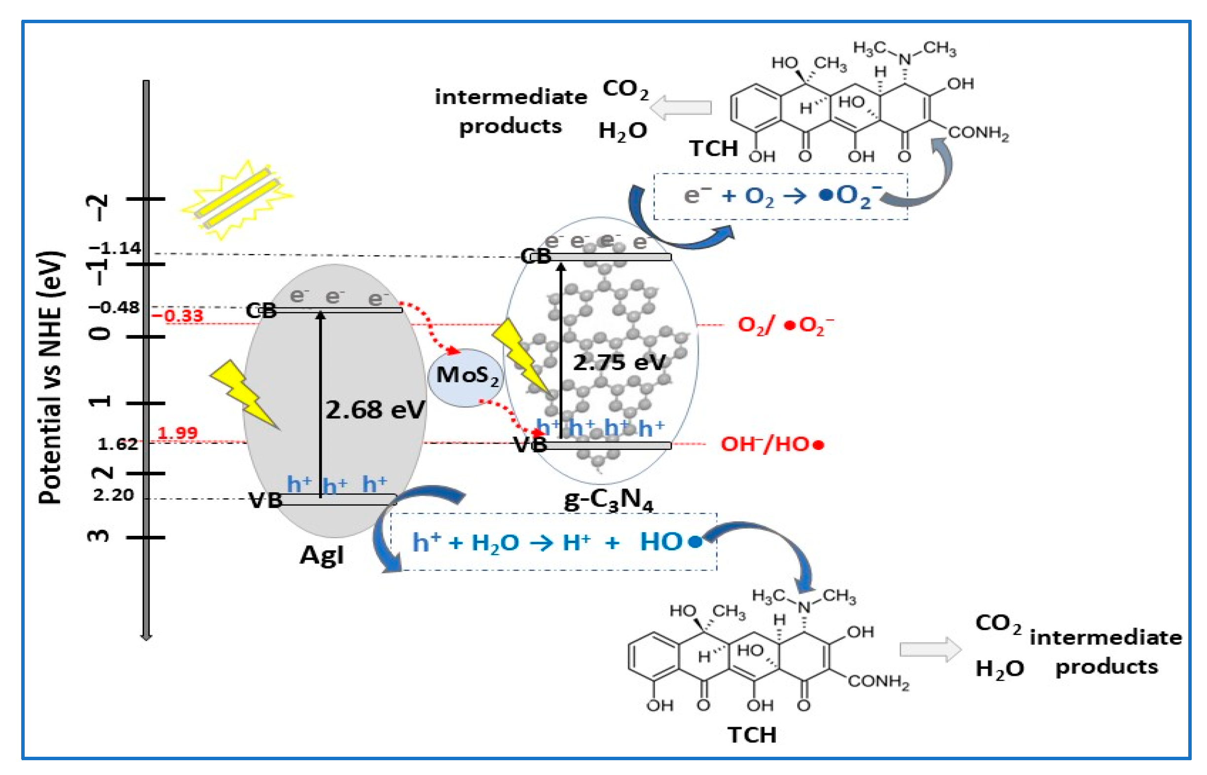 Molecules 30 04727 g018 Molecules 30 04727 g018