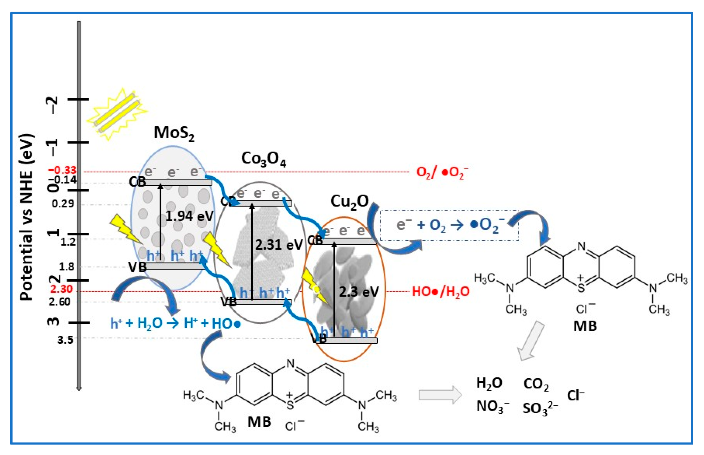 Molecules 30 04727 g019 Molecules 30 04727 g019