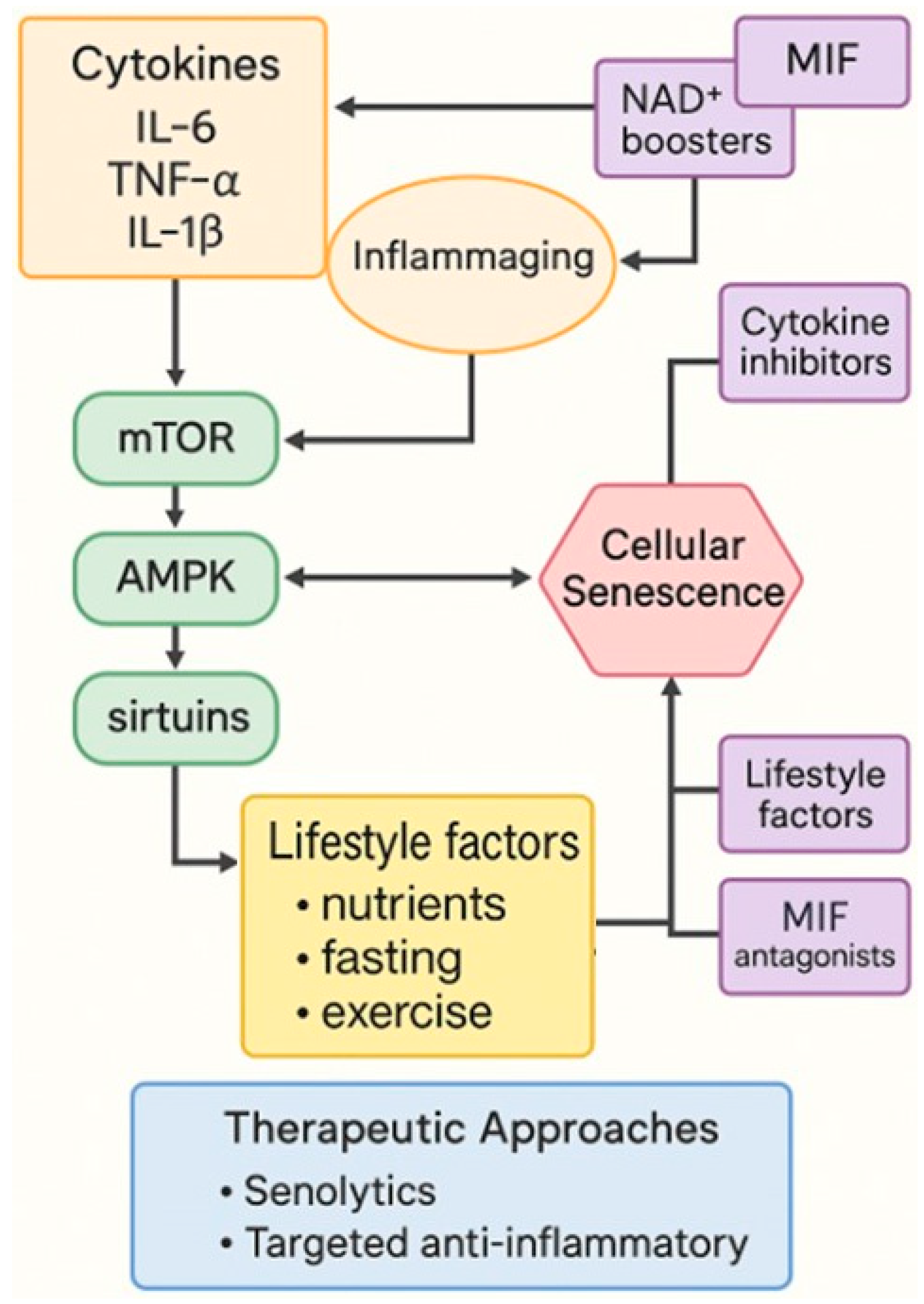 Molecules 30 04728 g003 Molecules 30 04728 g003