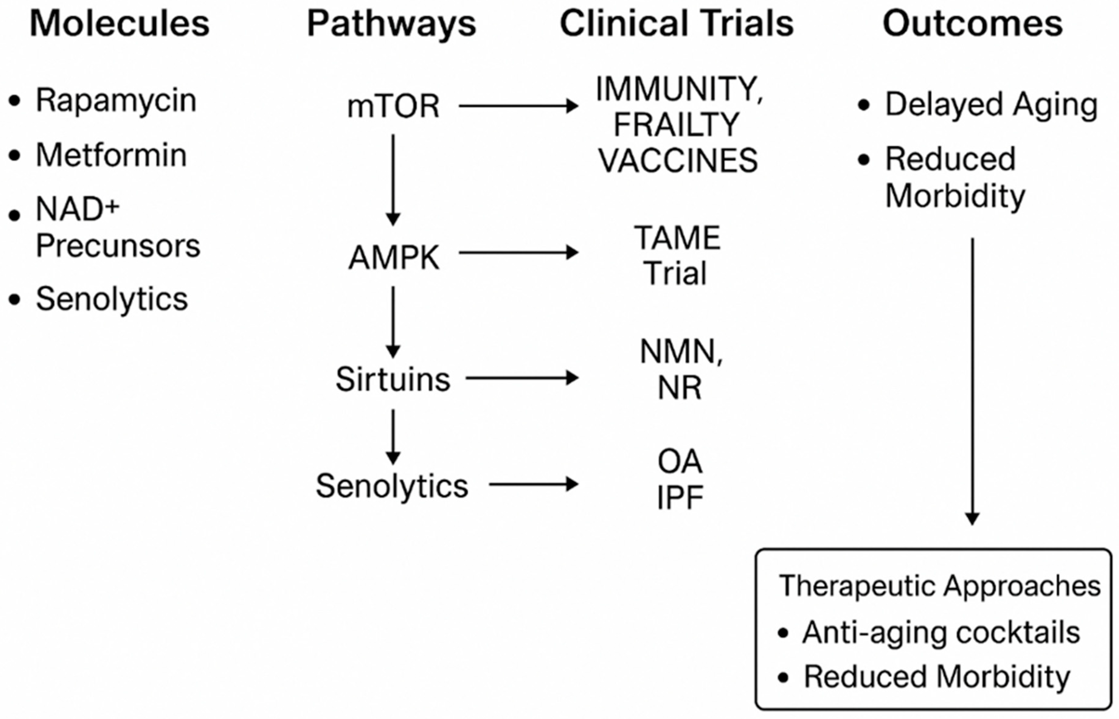 Molecules 30 04728 g004 Molecules 30 04728 g004