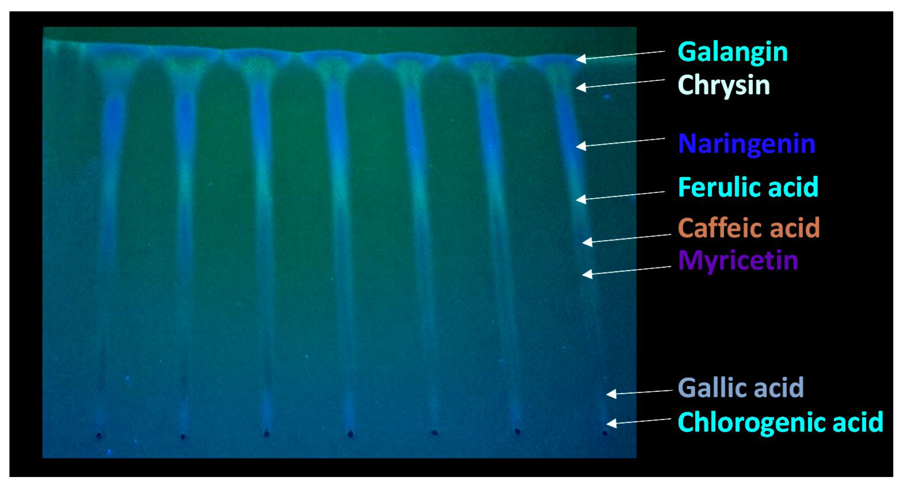Molecules 30 04729 g003