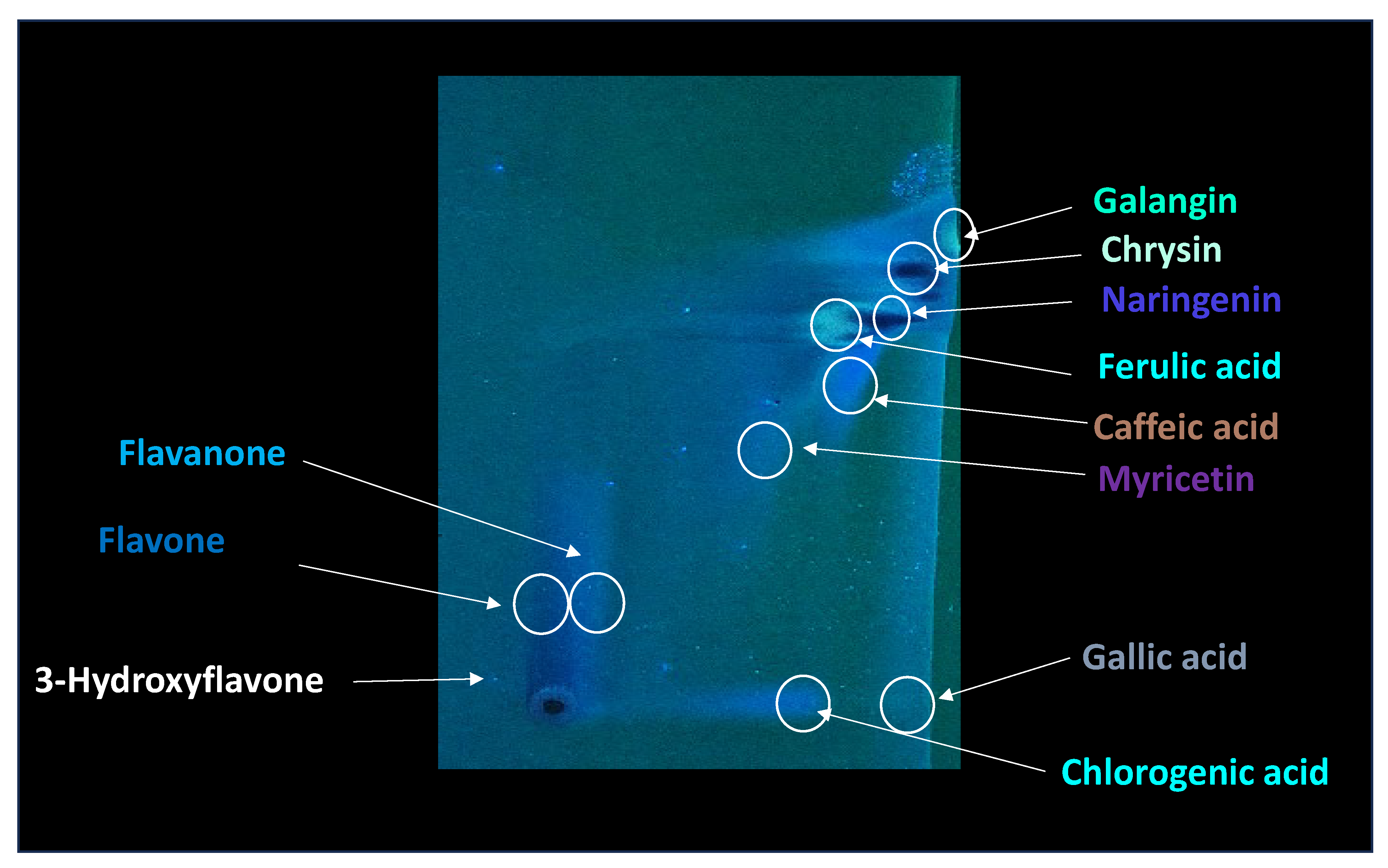 Molecules 30 04729 g004