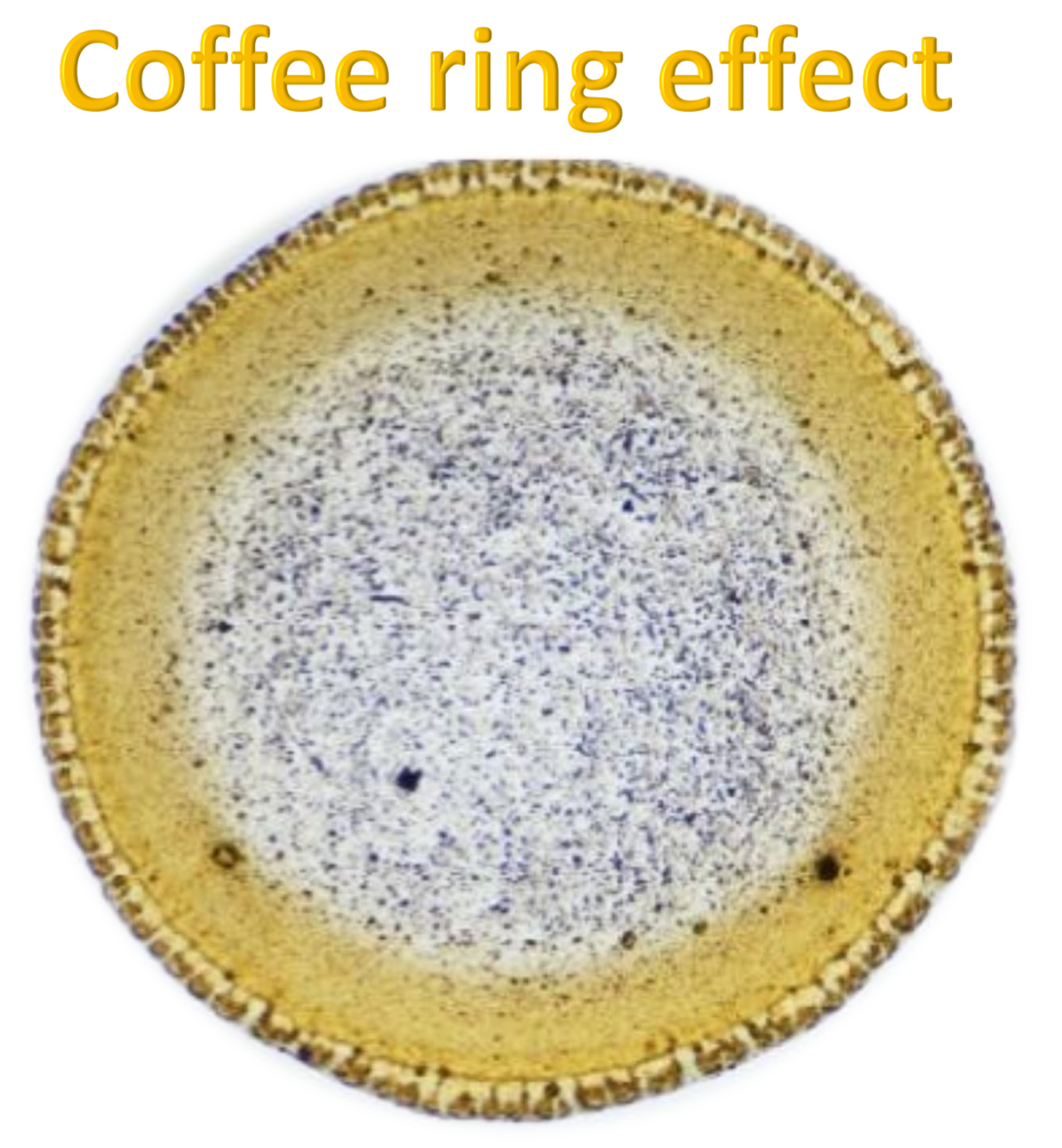 Molecules 30 04729 g009