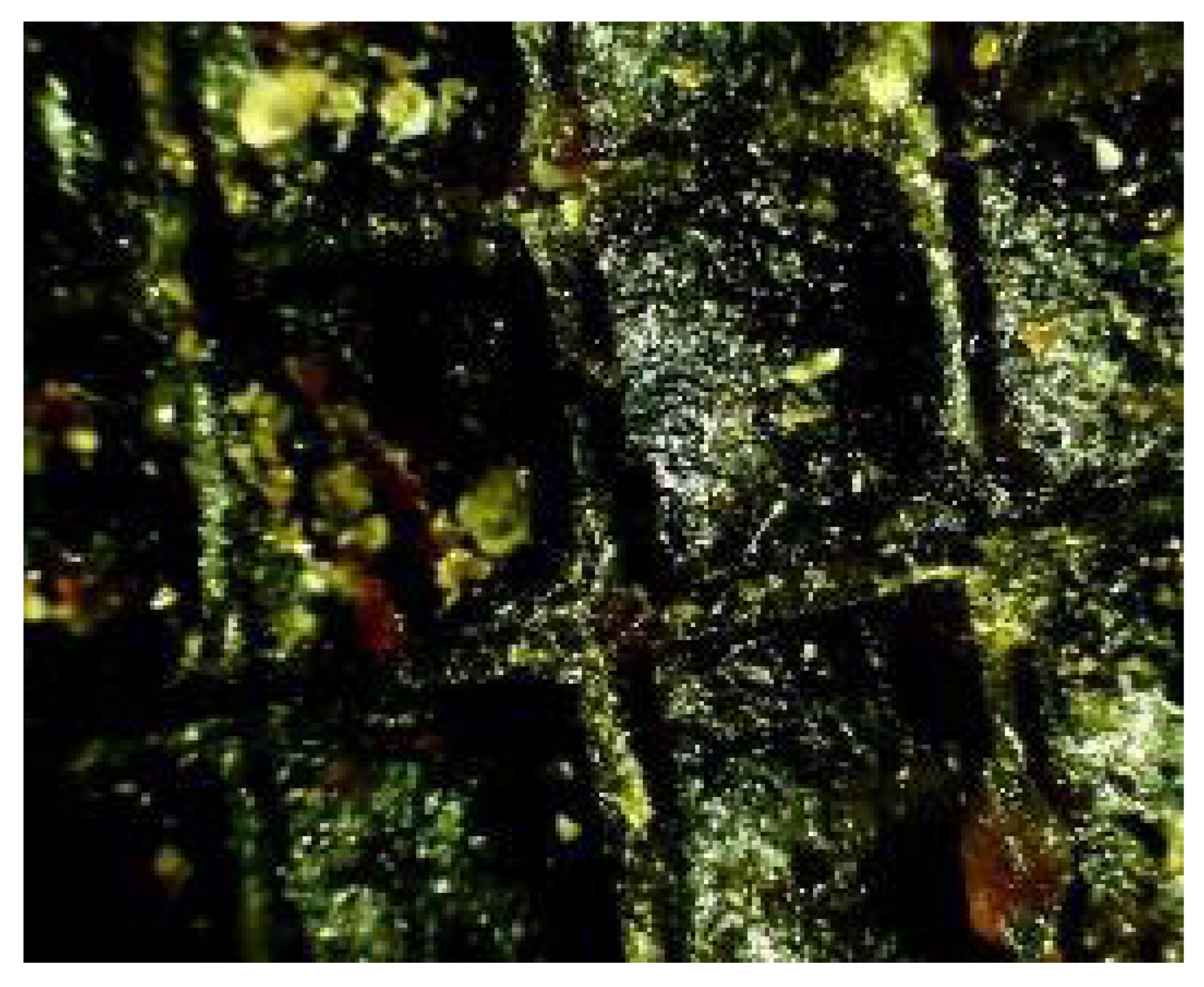 Molecules 30 04729 g010