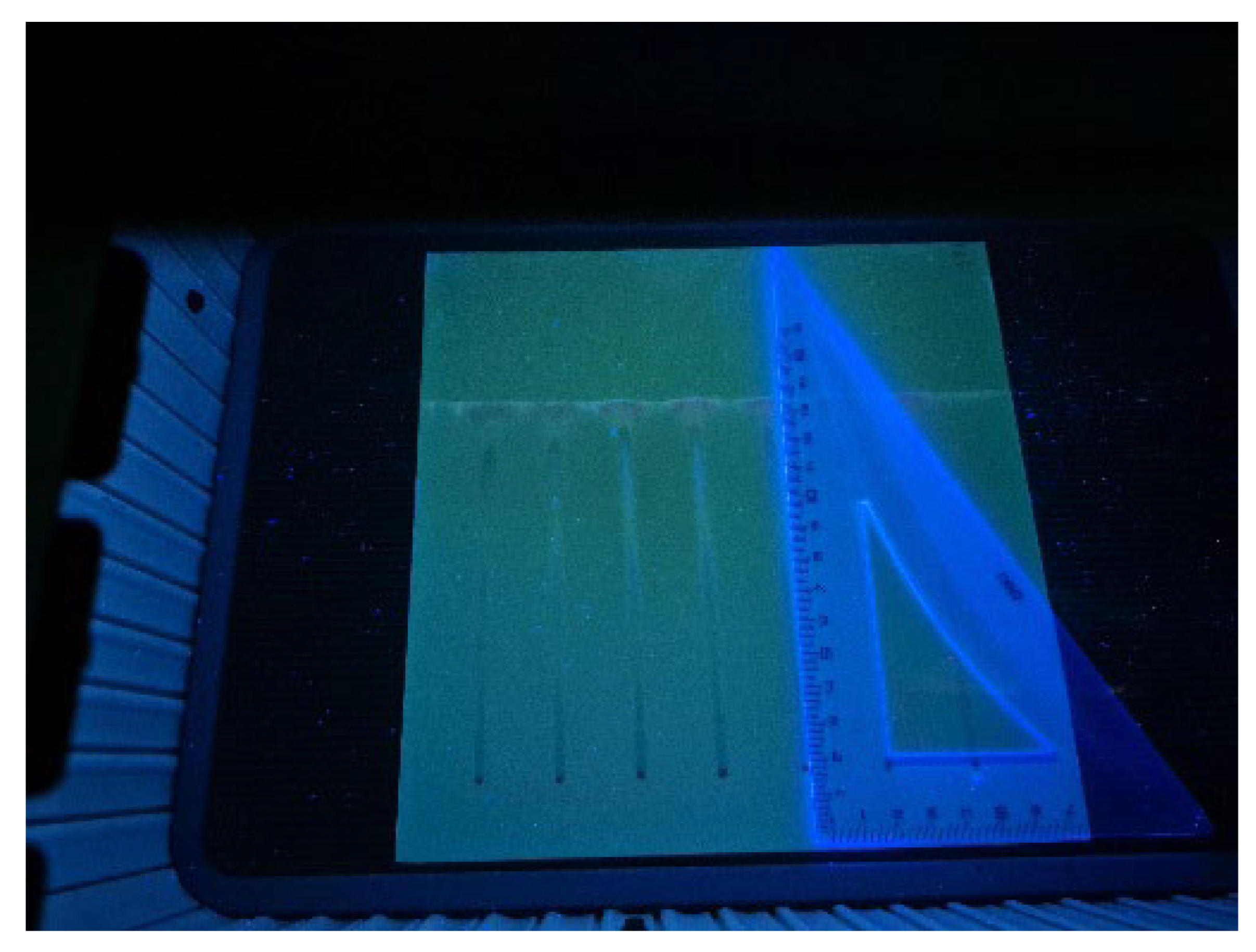 Molecules 30 04729 g011