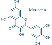 Molecules 30 04729 i006