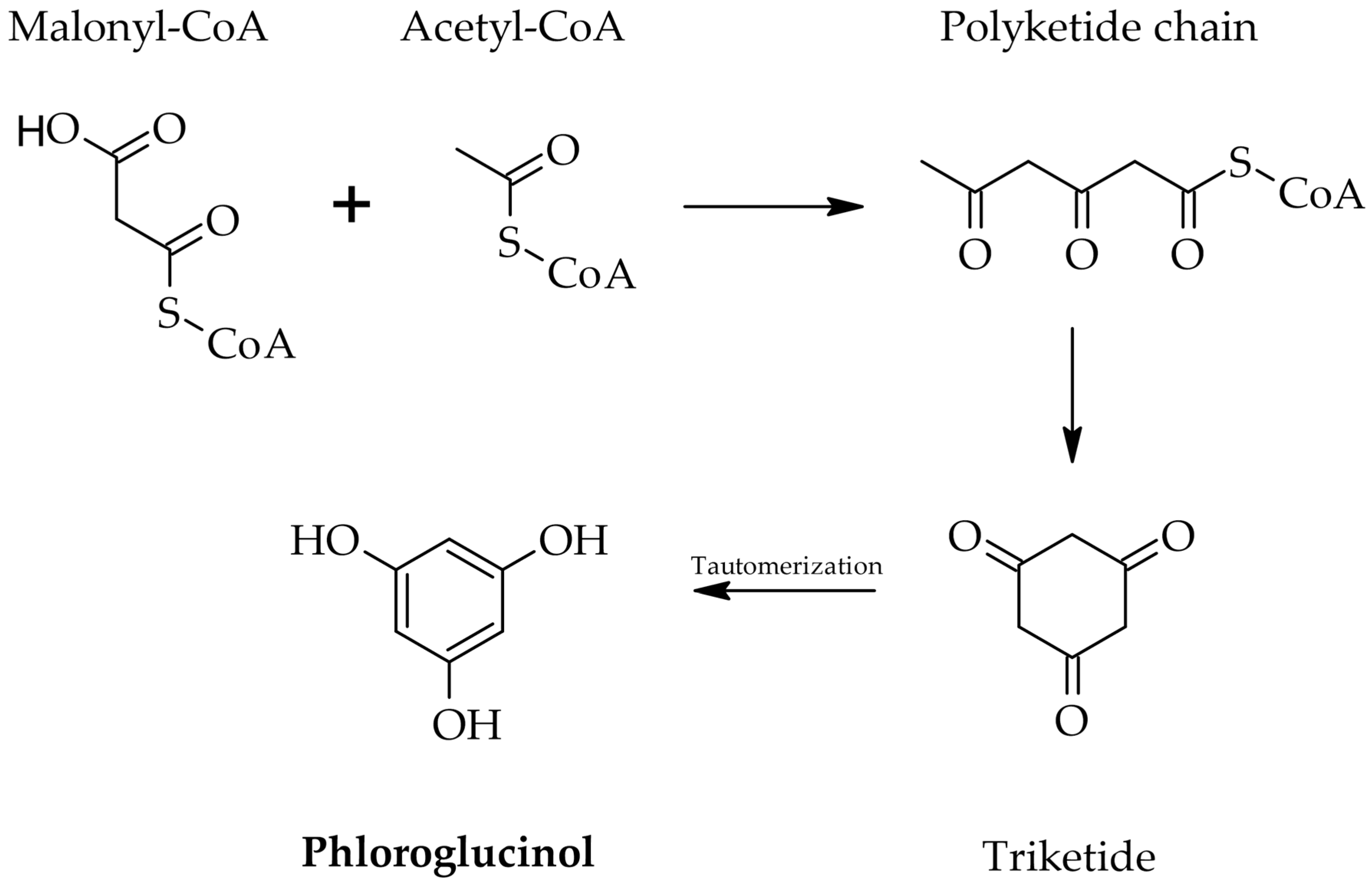 Molecules 30 04733 g001