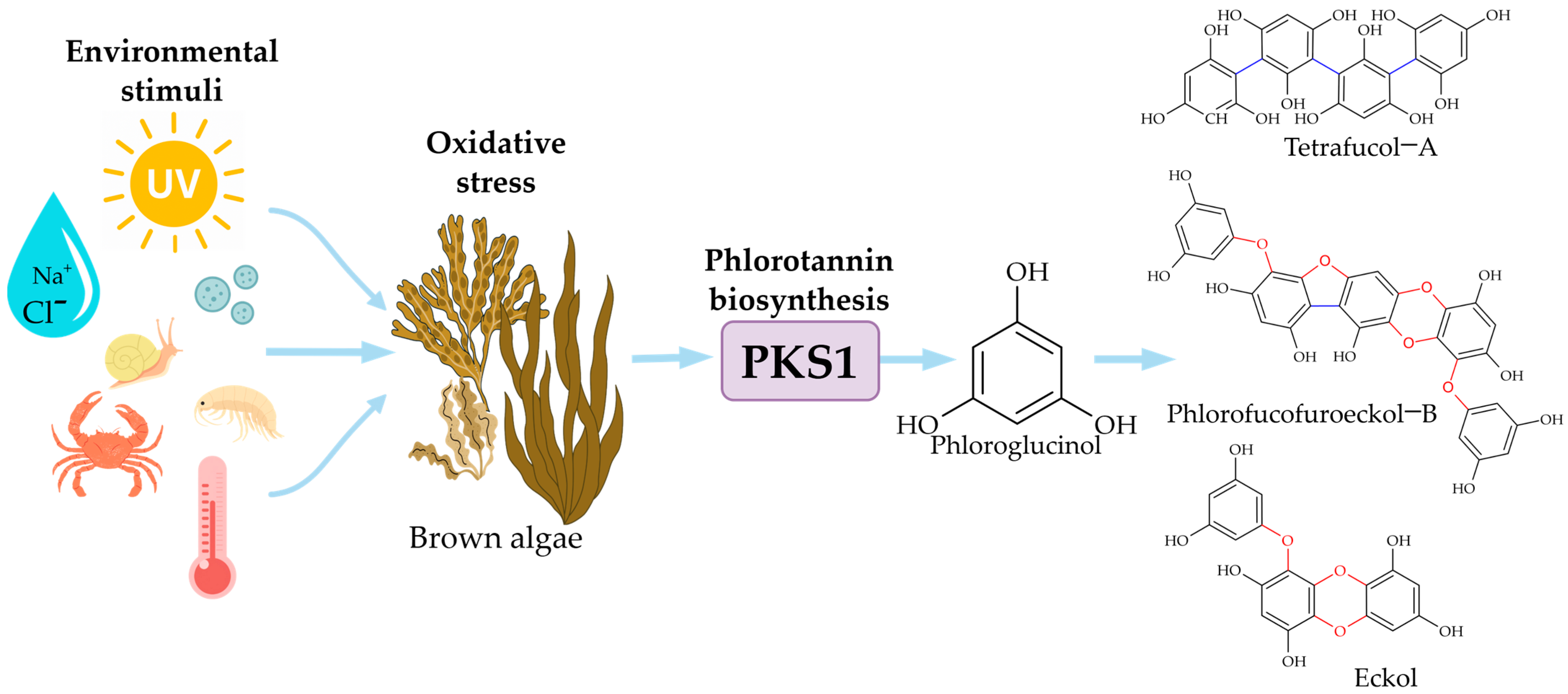 Molecules 30 04733 g003