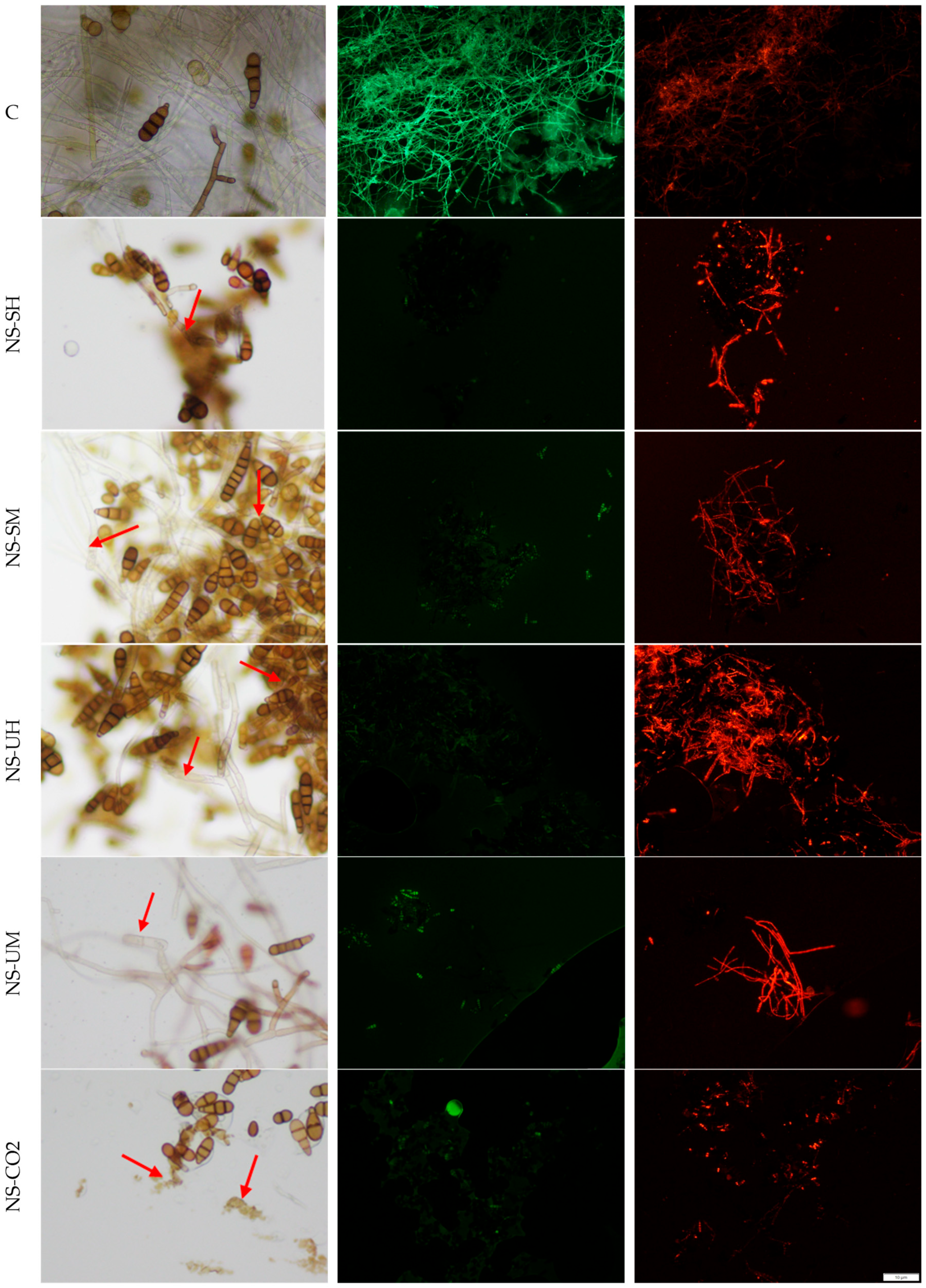 Molecules 30 04736 g003