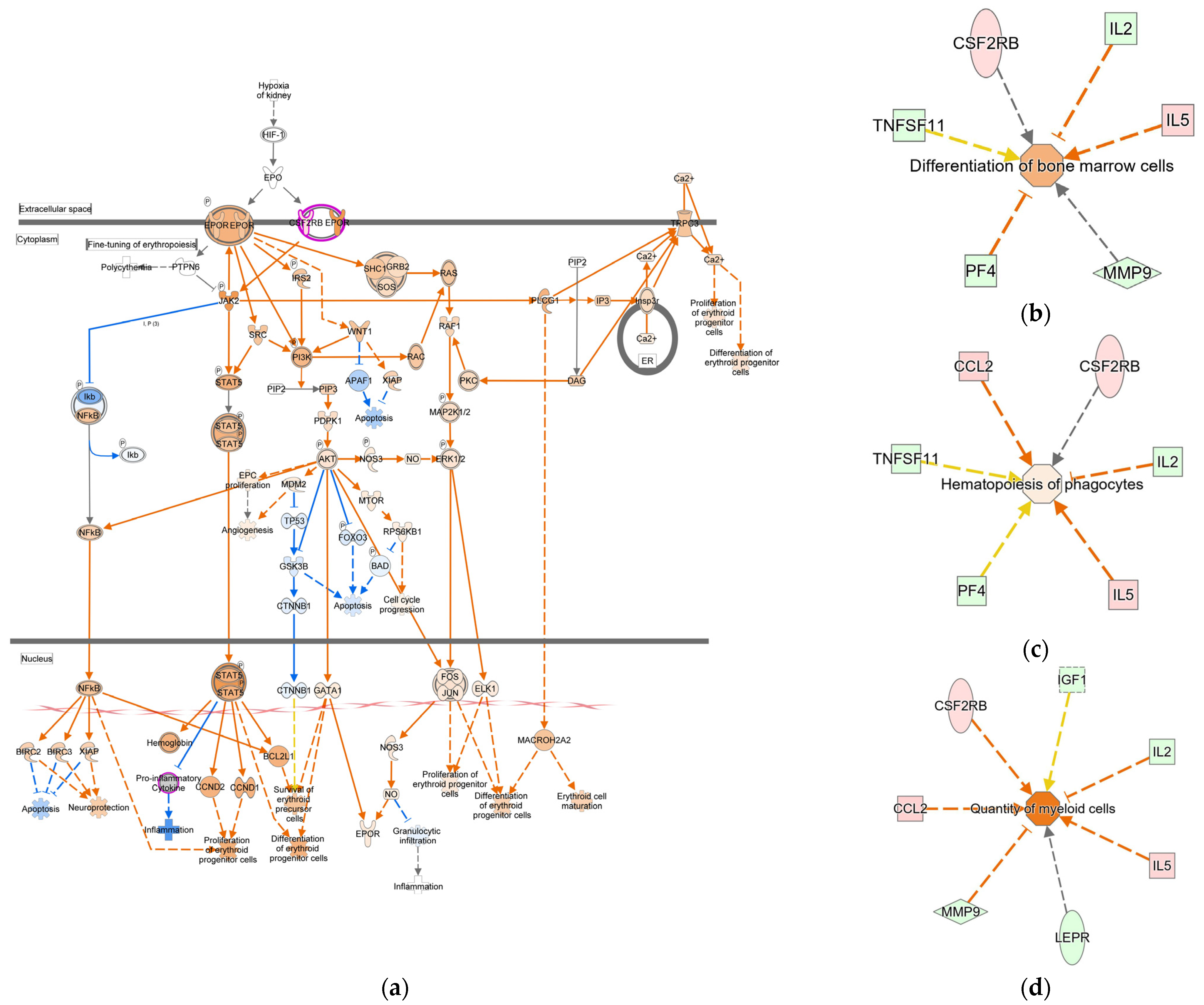 Molecules 30 04739 g005 Molecules 30 04739 g005