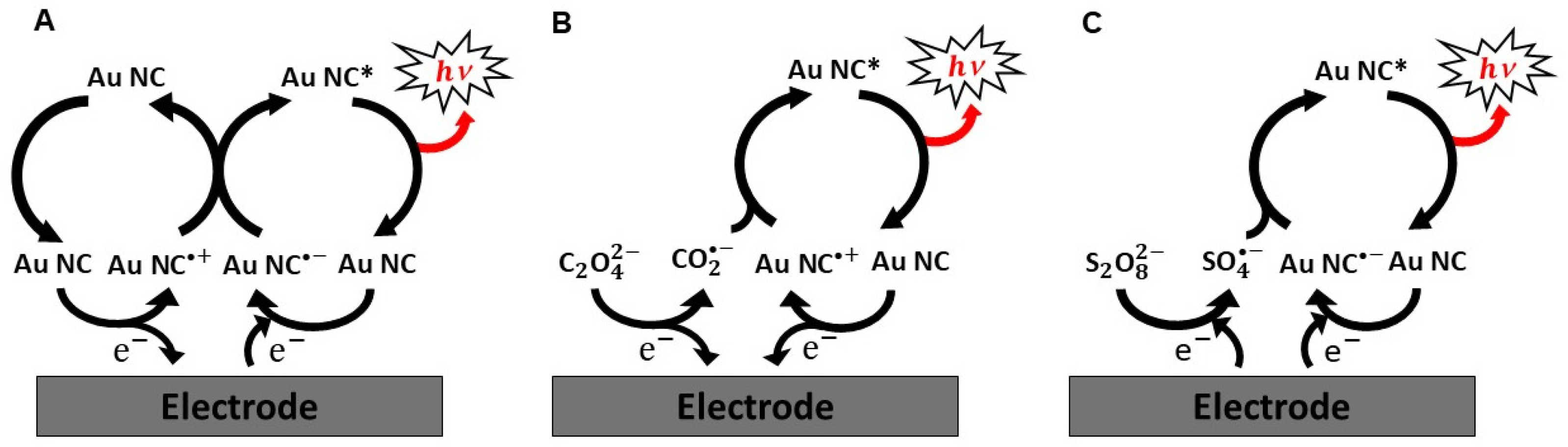 Molecules 30 04748 g002 Molecules 30 04748 g002