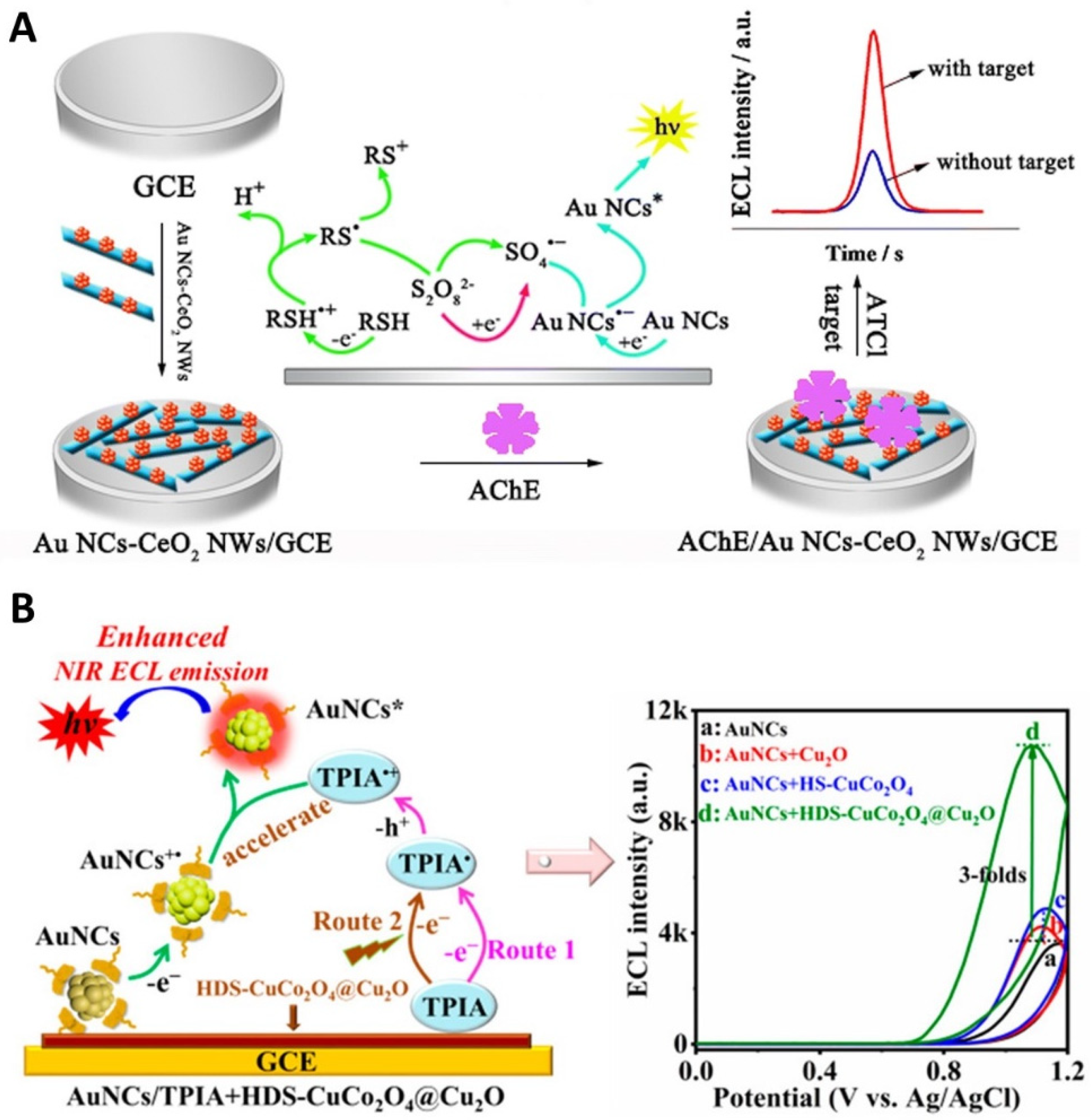Molecules 30 04748 g004 Molecules 30 04748 g004