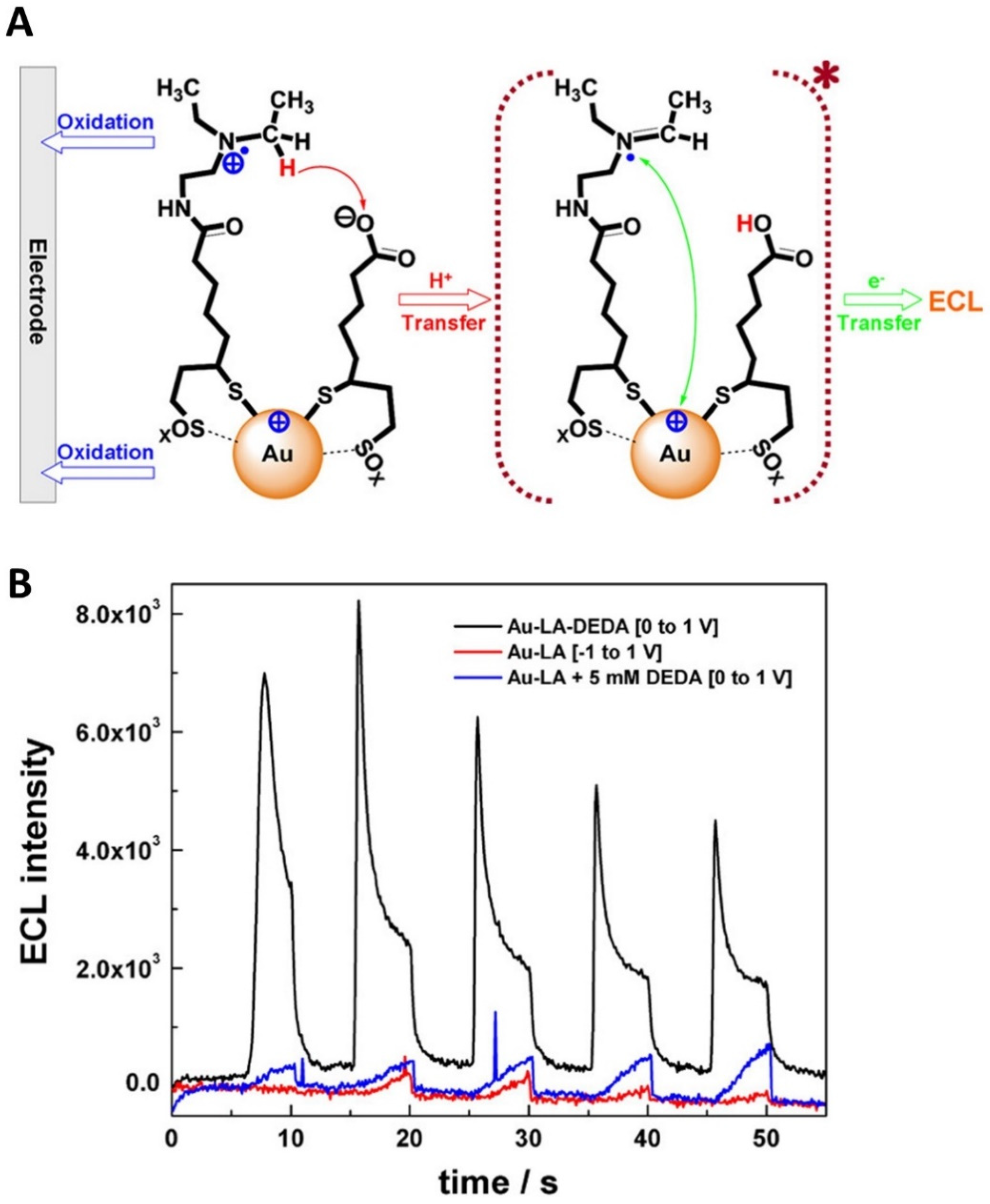 Molecules 30 04748 g005 Molecules 30 04748 g005