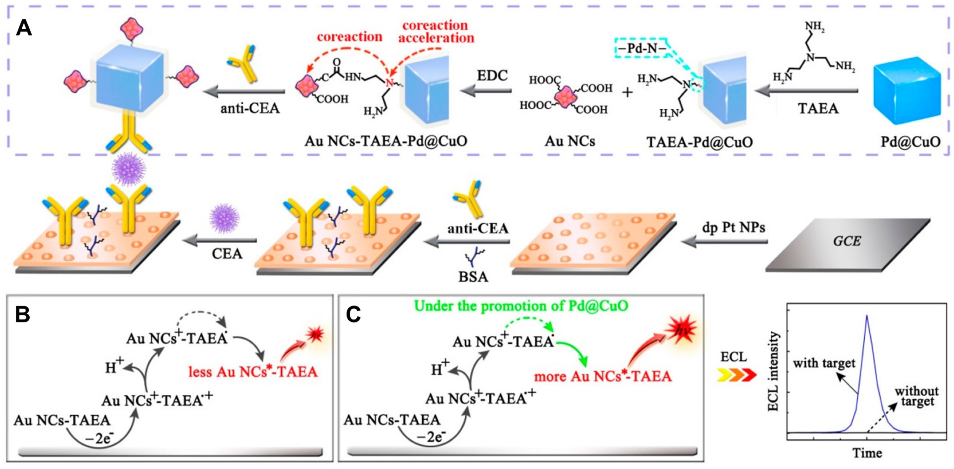 Molecules 30 04748 g006 Molecules 30 04748 g006