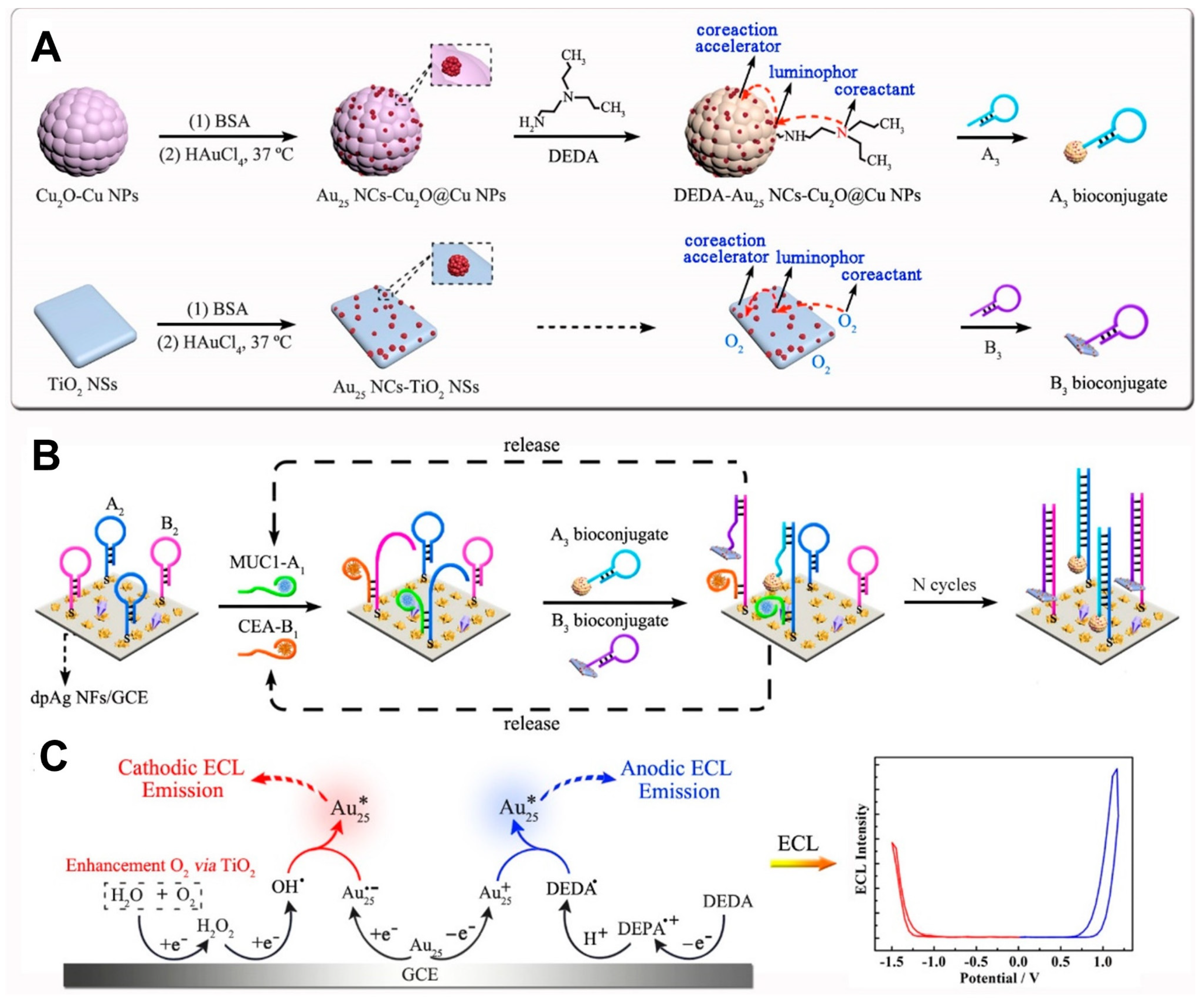 Molecules 30 04748 g007 Molecules 30 04748 g007