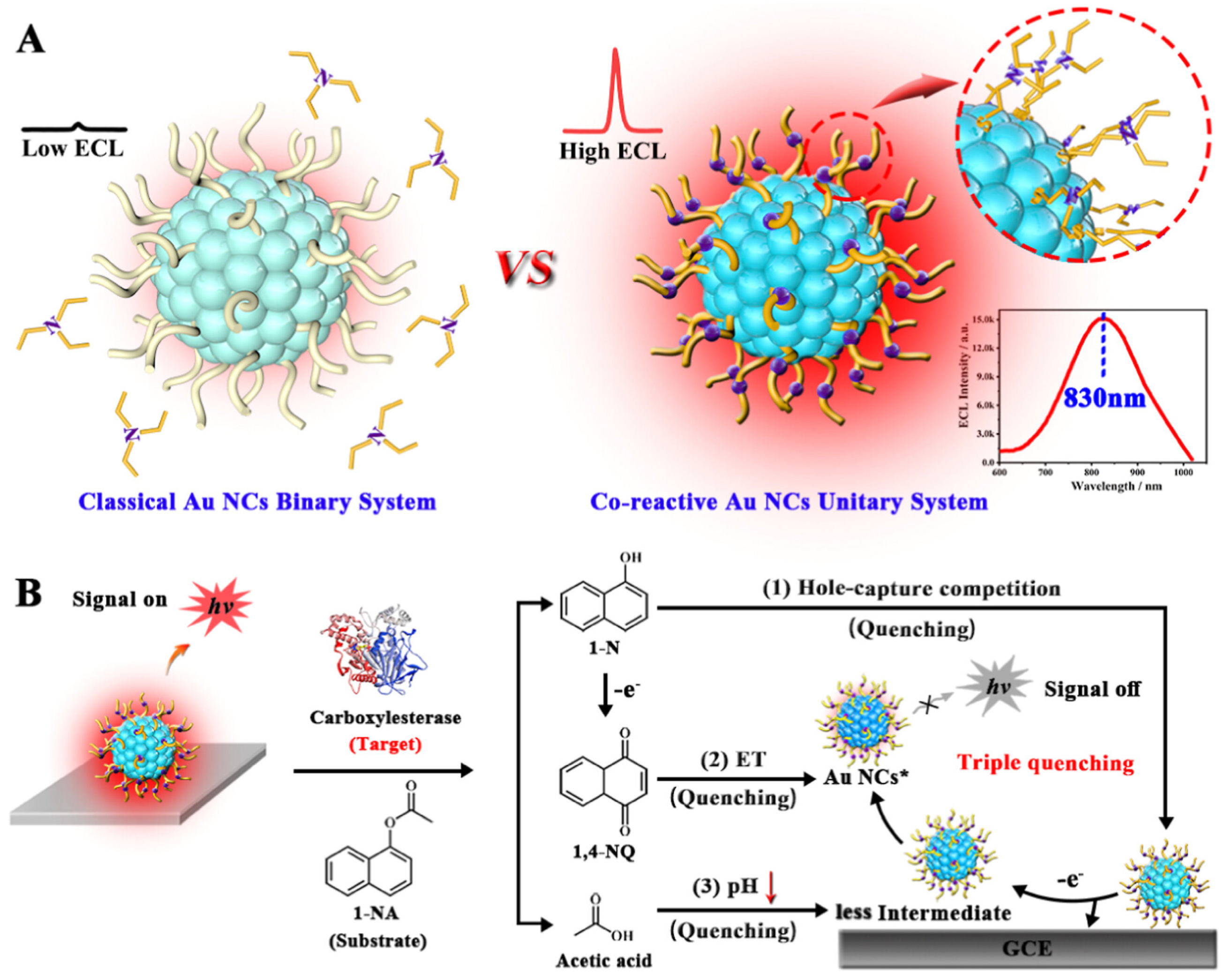 Molecules 30 04748 g008 Molecules 30 04748 g008