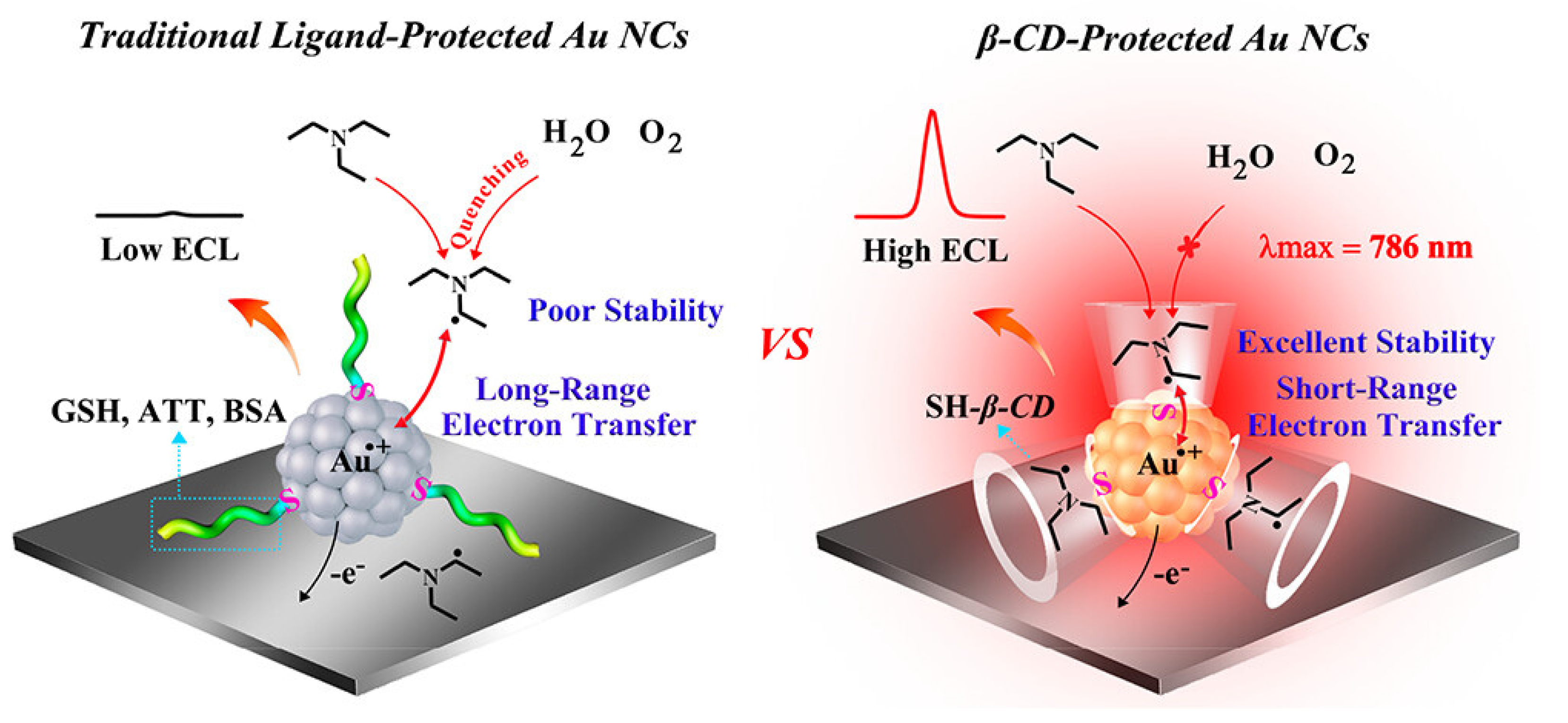 Molecules 30 04748 g009 Molecules 30 04748 g009