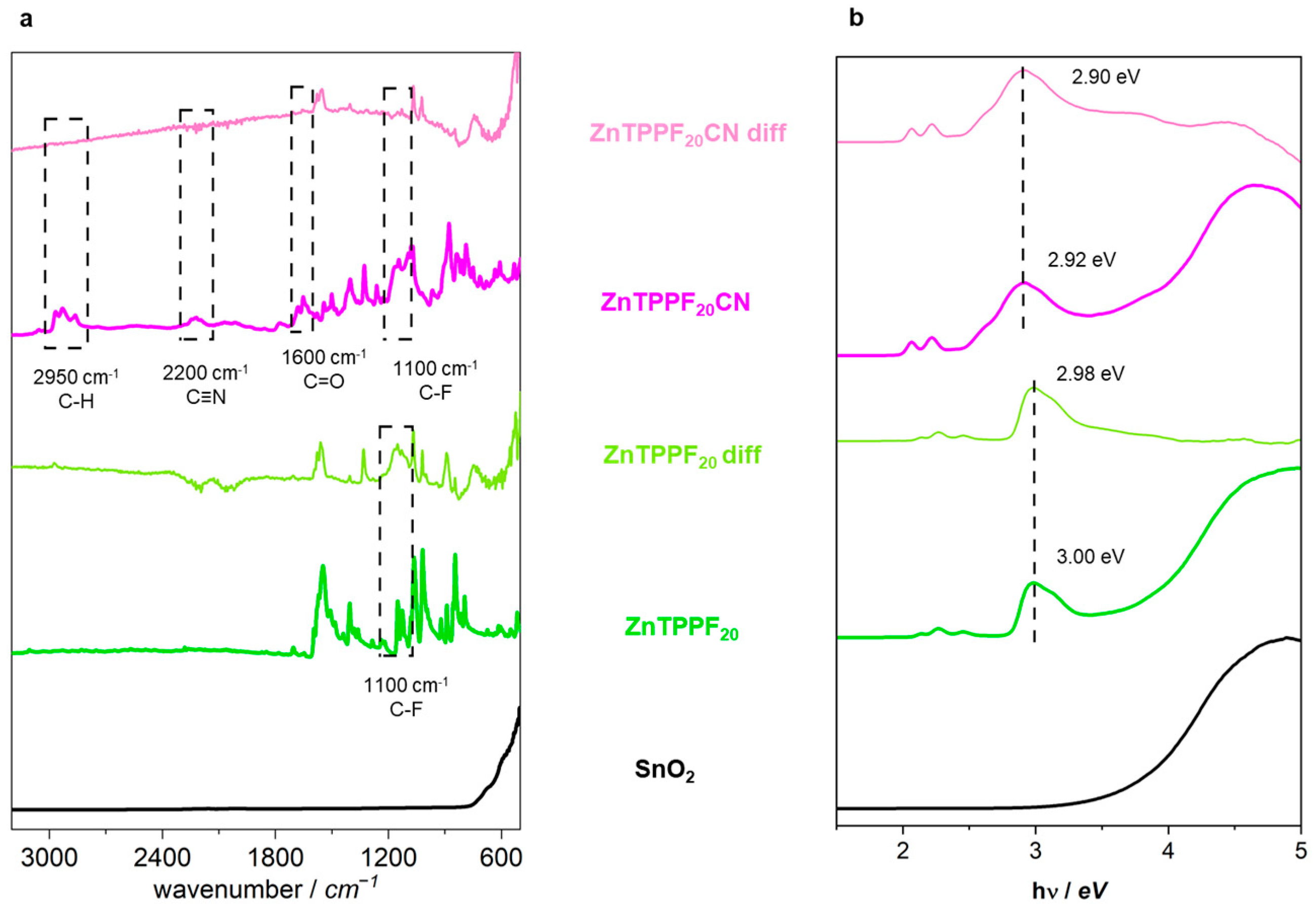 Molecules 30 04749 g005 Molecules 30 04749 g005