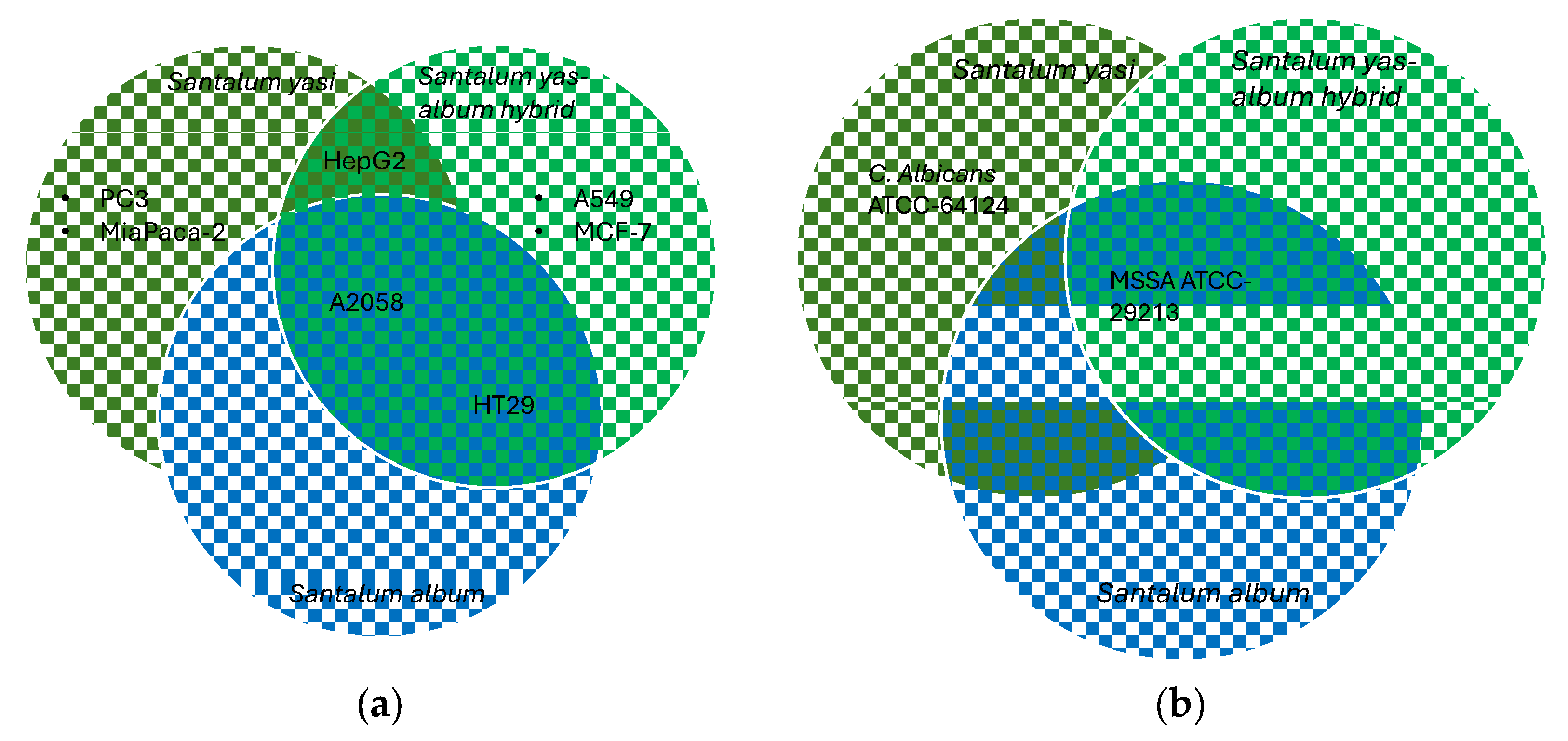 Molecules 30 04752 g004 Molecules 30 04752 g004