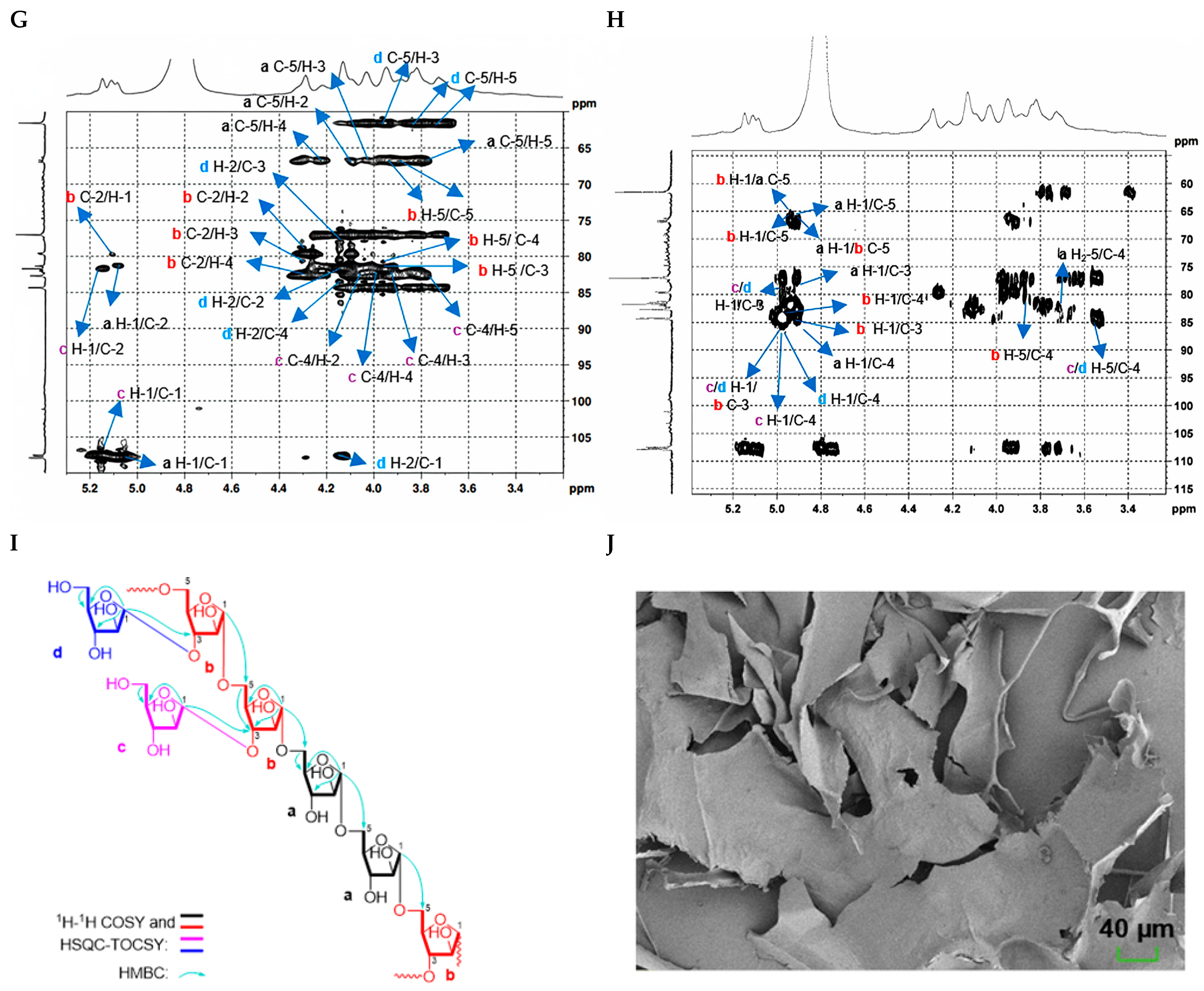 Molecules 30 04754 g002b Molecules 30 04754 g002b
