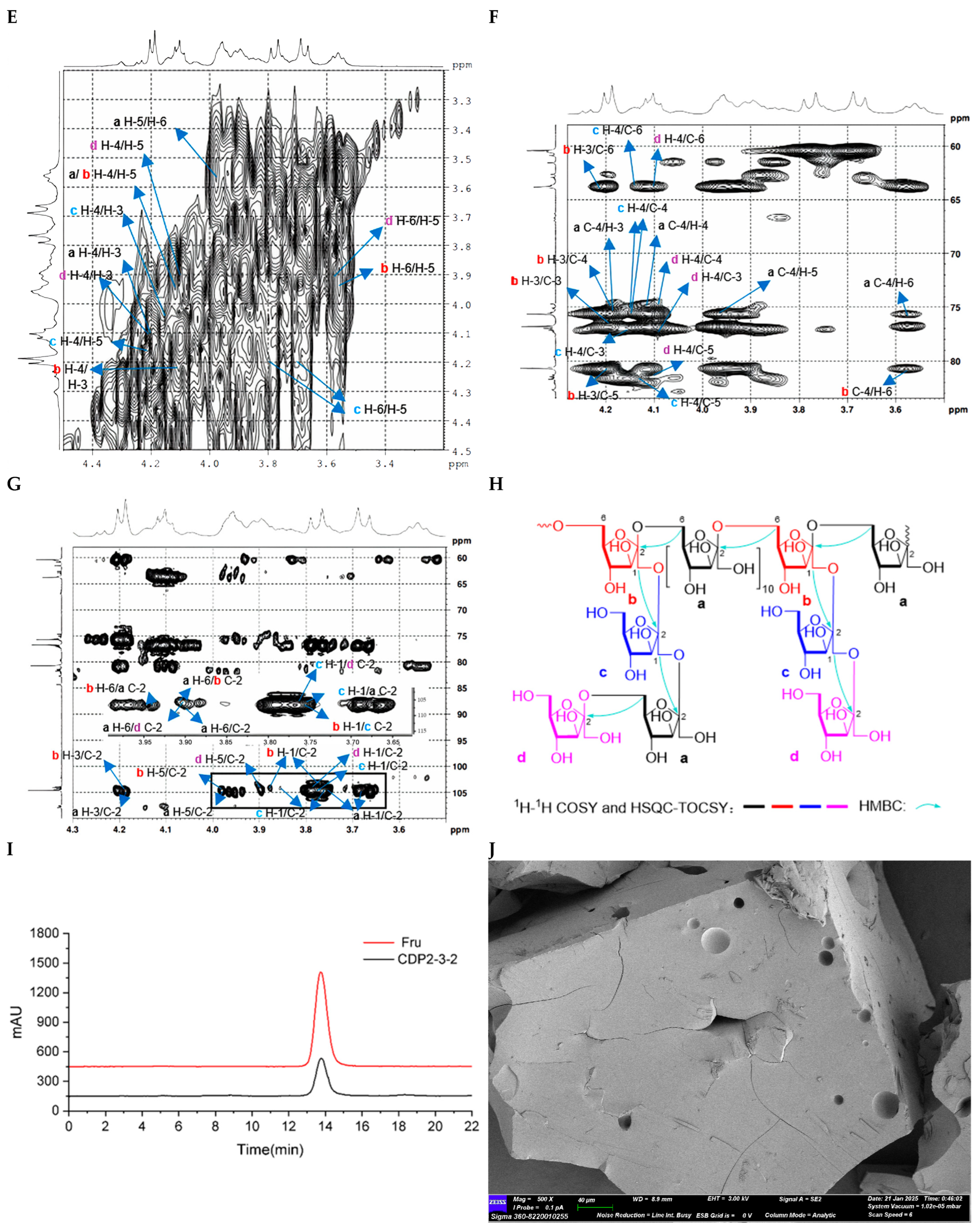 Molecules 30 04754 g005b Molecules 30 04754 g005b