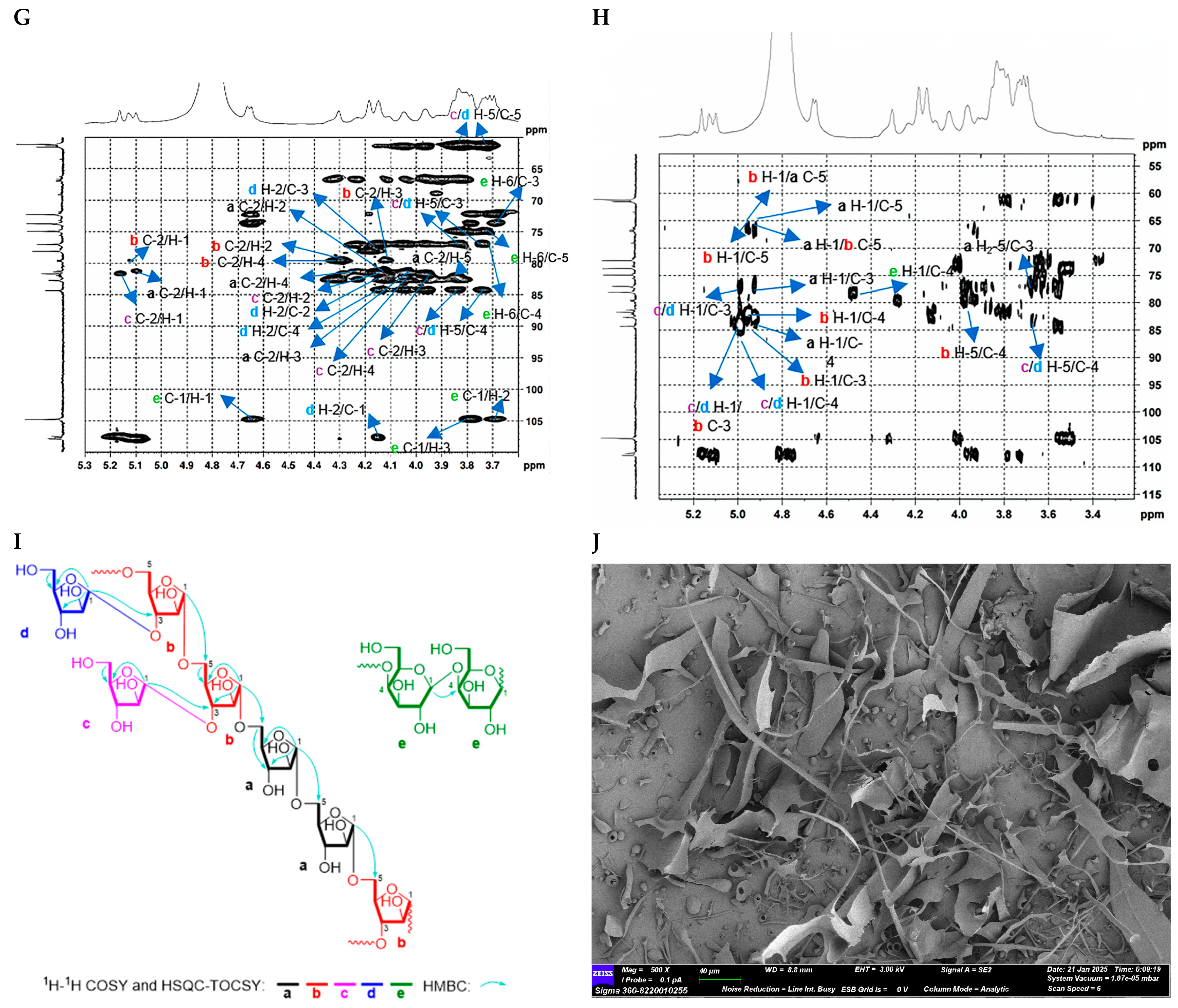 Molecules 30 04754 g006b Molecules 30 04754 g006b