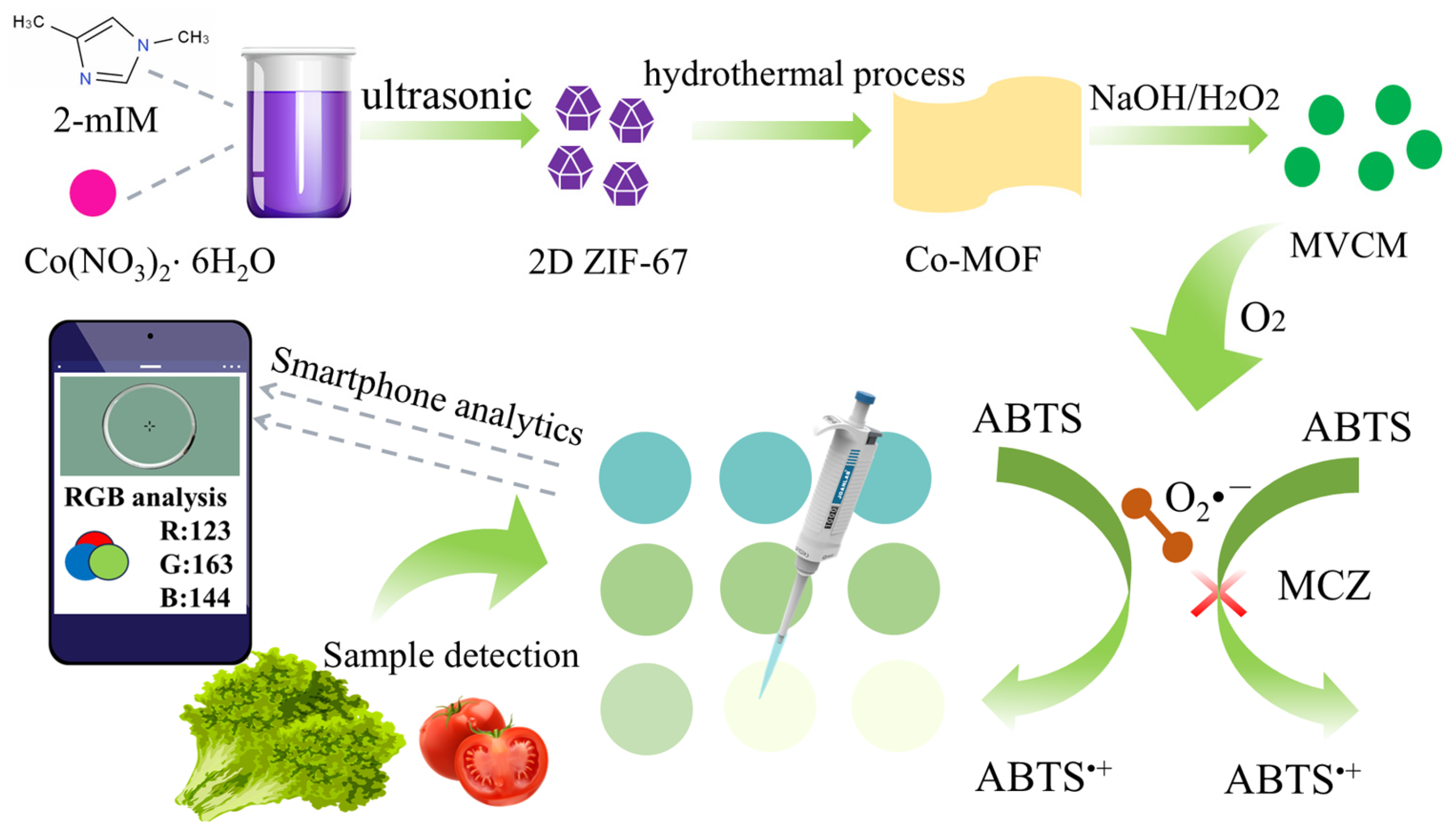 Molecules 30 04758 g001 Molecules 30 04758 g001
