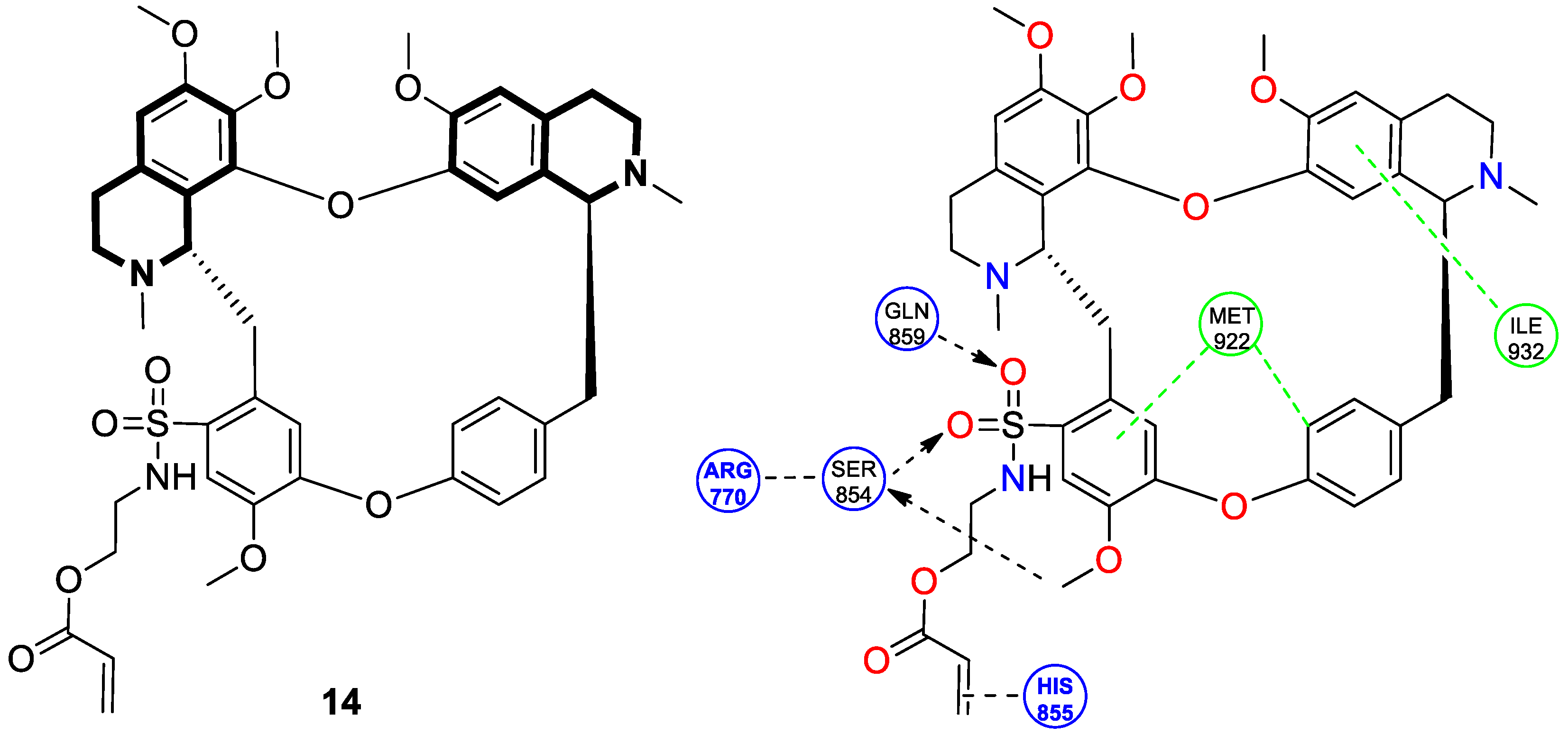 Molecules 30 04760 g020 Molecules 30 04760 g020