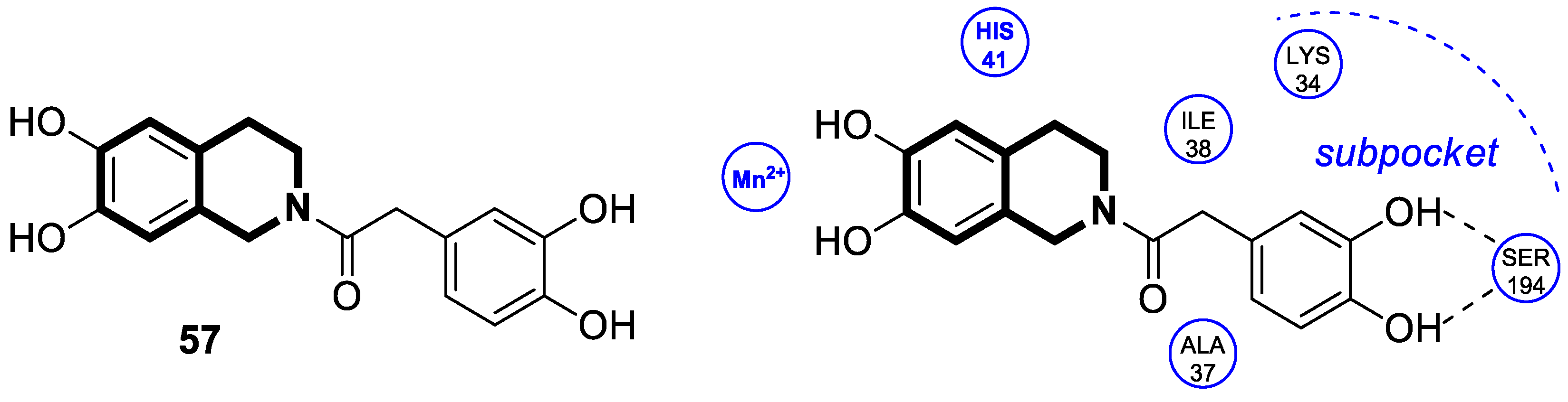Molecules 30 04760 g060 Molecules 30 04760 g060
