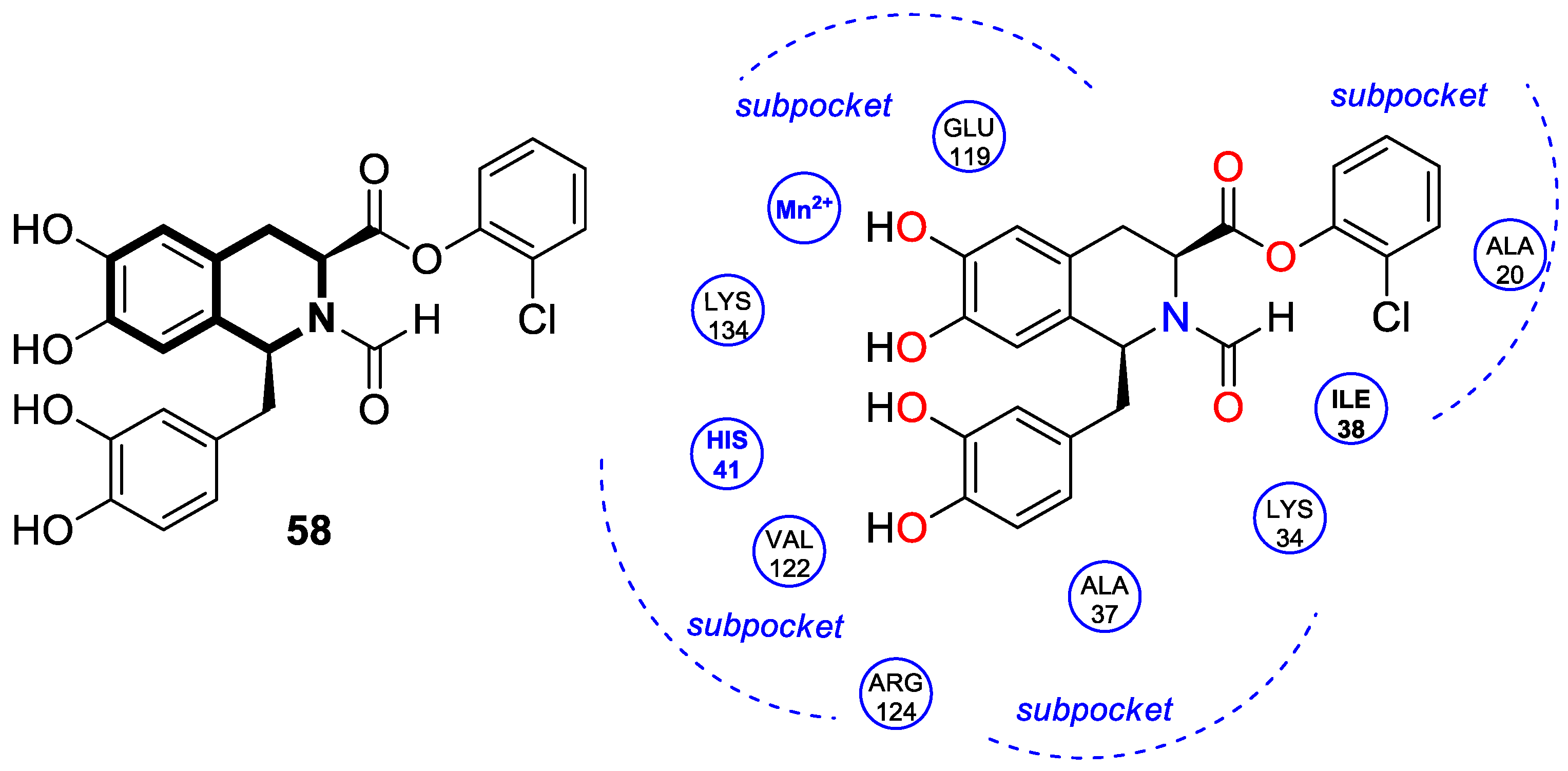 Molecules 30 04760 g061 Molecules 30 04760 g061