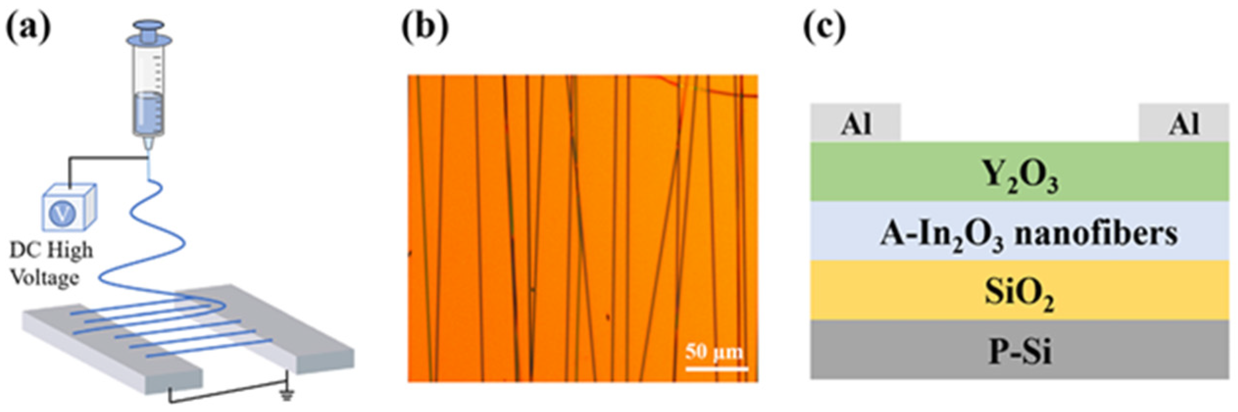 Molecules 30 04762 g011 Molecules 30 04762 g011