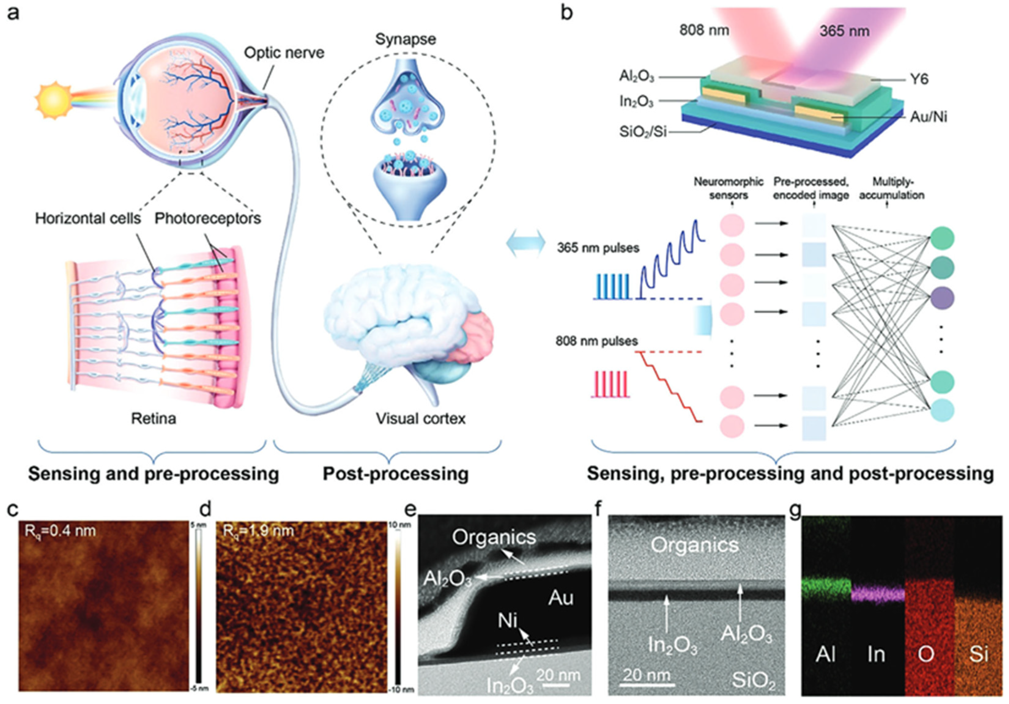 Molecules 30 04762 g012 Molecules 30 04762 g012
