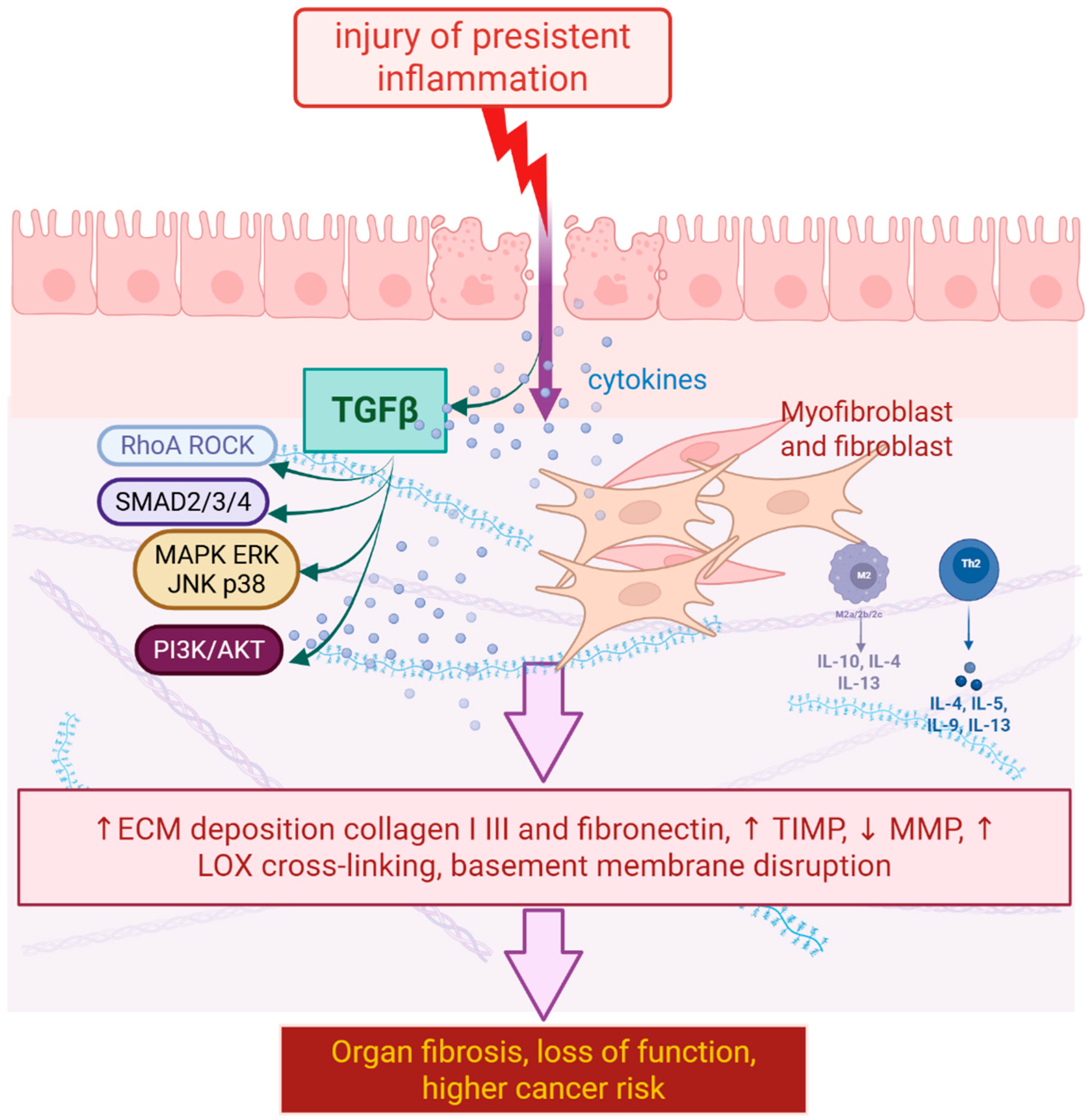 Molecules 30 04766 g001 Molecules 30 04766 g001