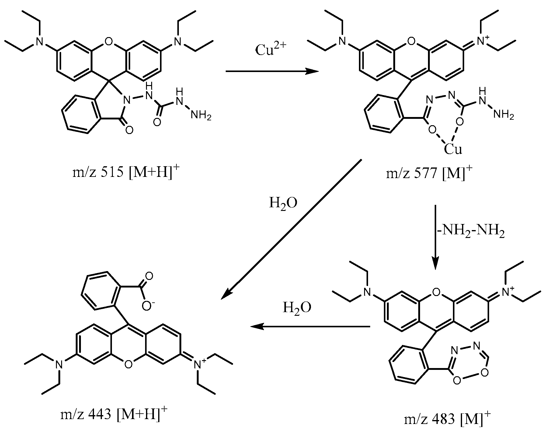 Molecules 30 04783 g007 Molecules 30 04783 g007