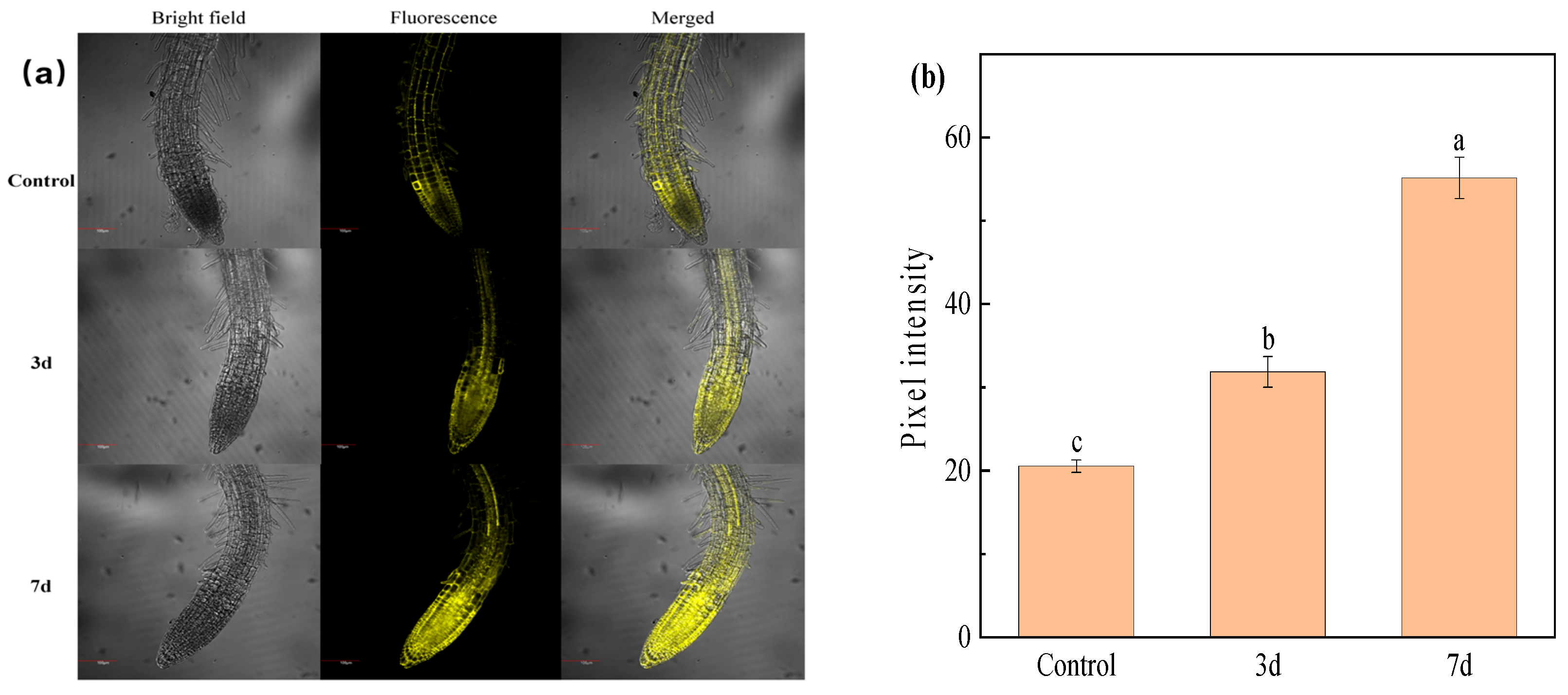 Molecules 30 04783 g008 Molecules 30 04783 g008