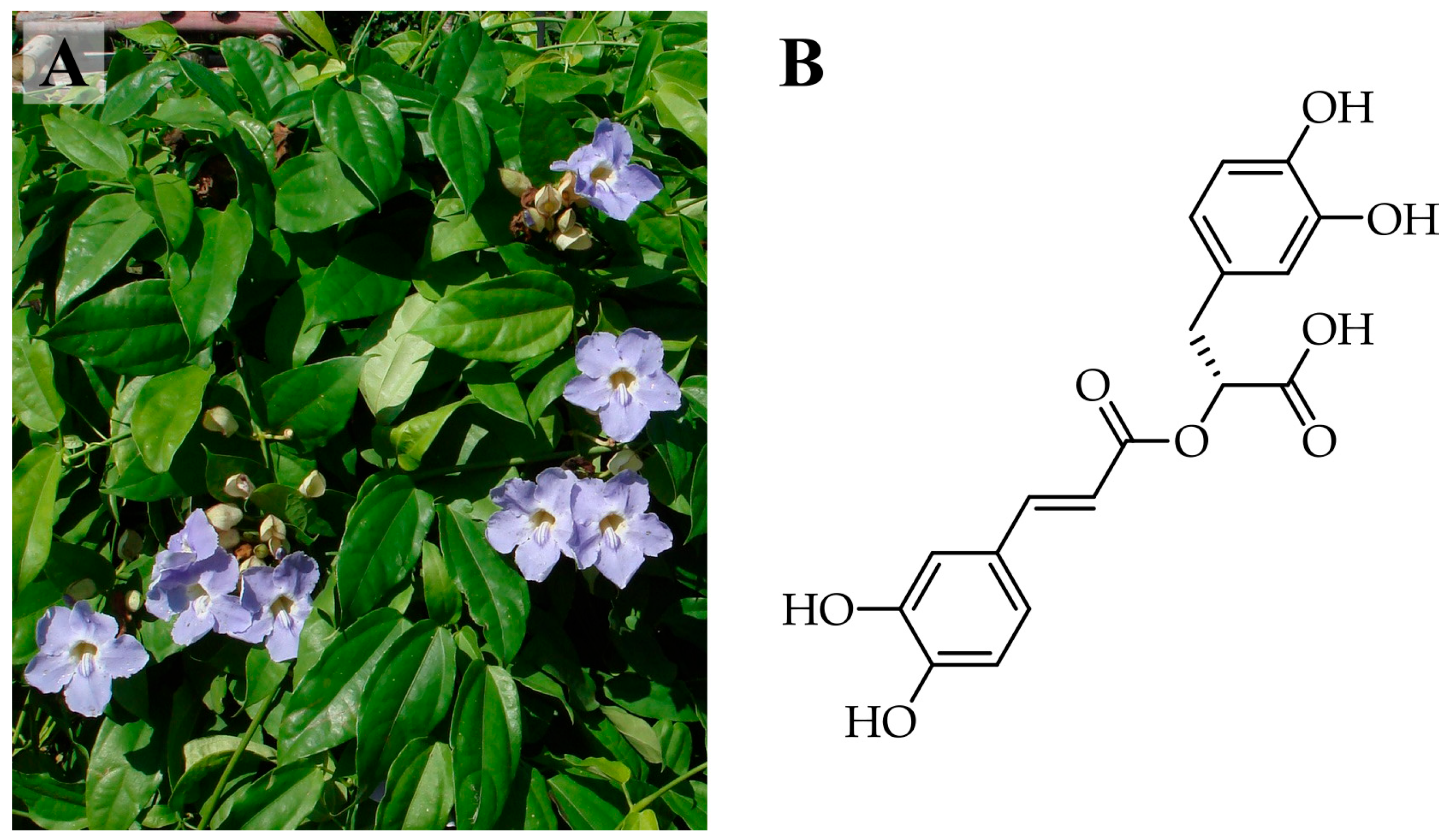 Molecules 30 04795 g001 Molecules 30 04795 g001