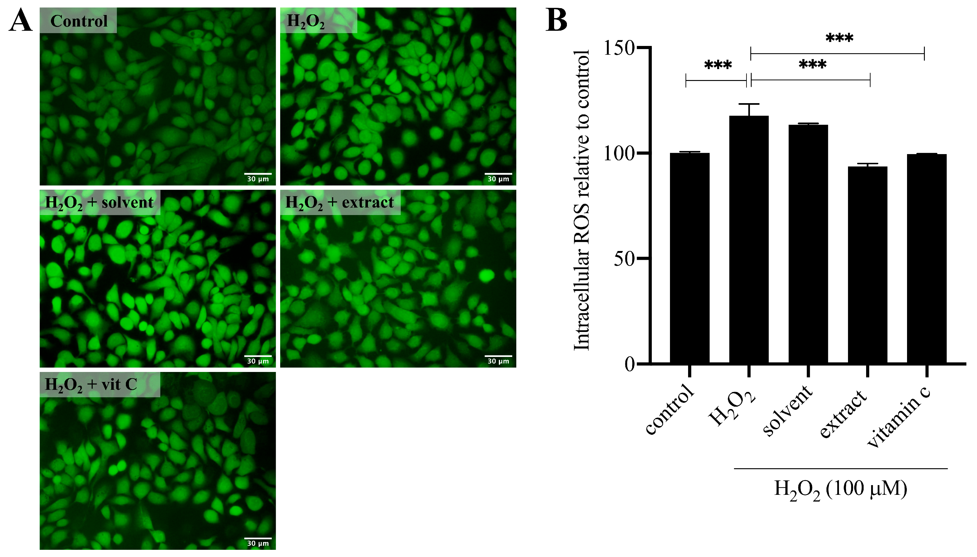 Molecules 30 04795 g006 Molecules 30 04795 g006