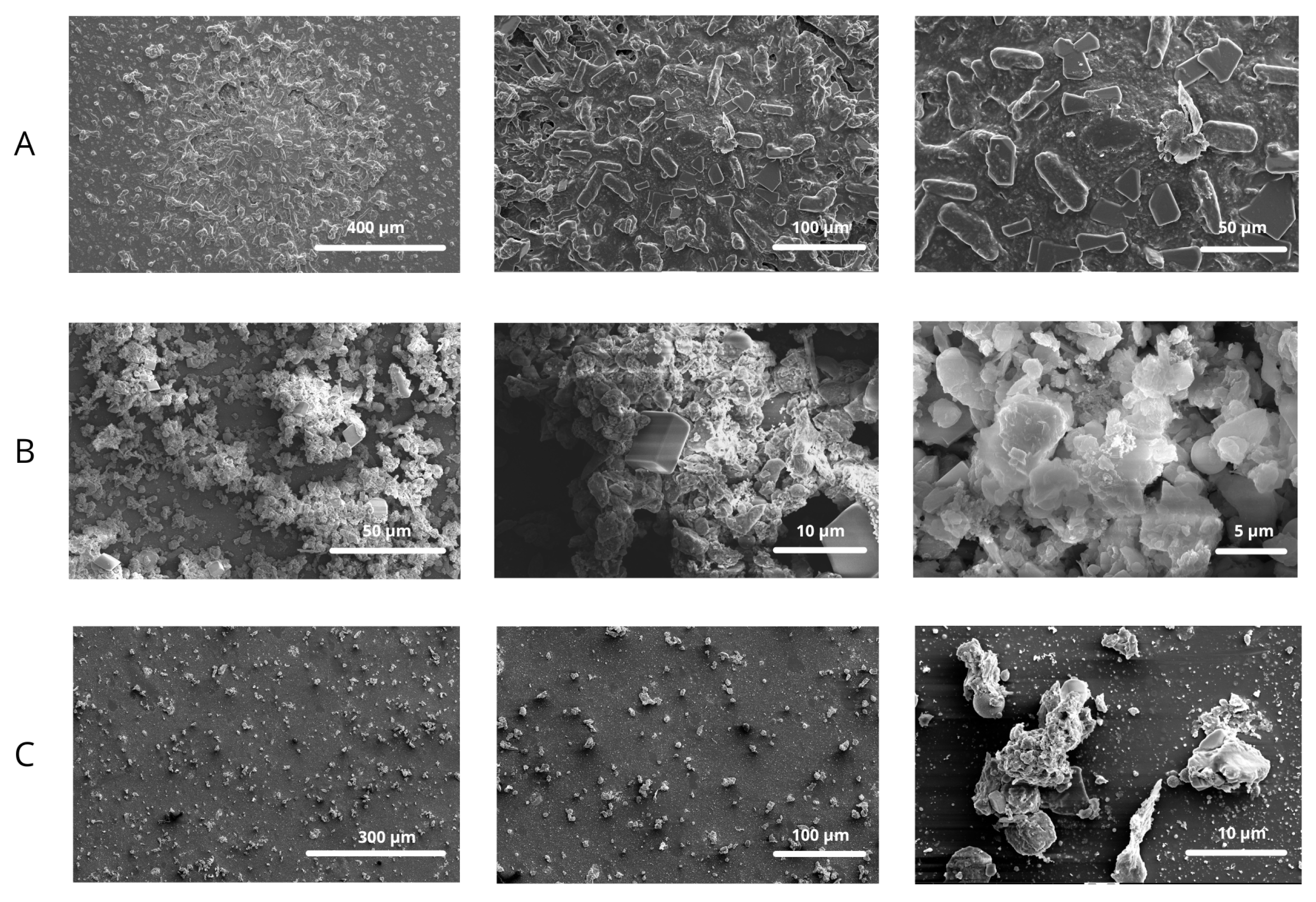 Molecules 30 04799 g001 Molecules 30 04799 g001